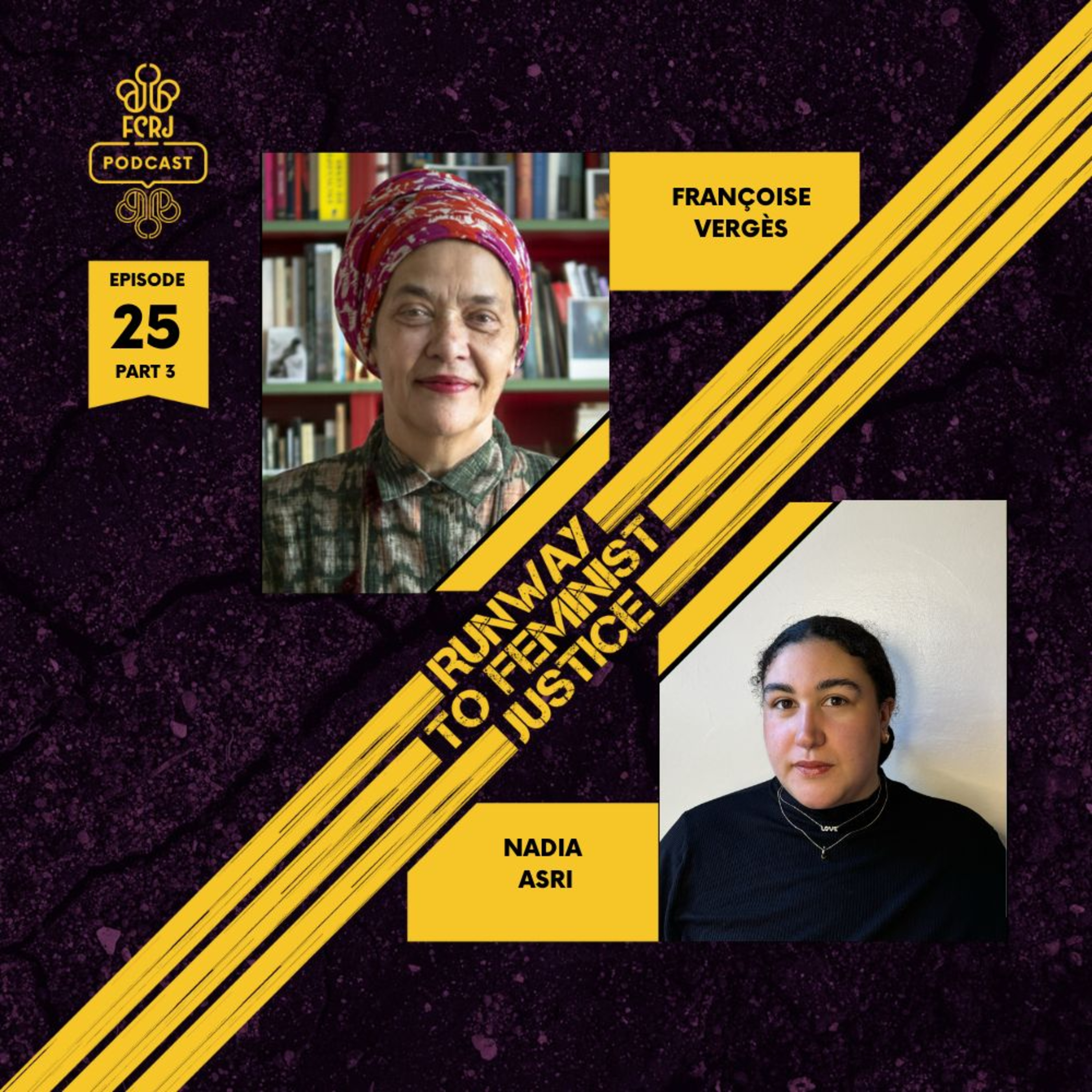 Episode 25 part 3: Legacy Series with Françoise Vergès