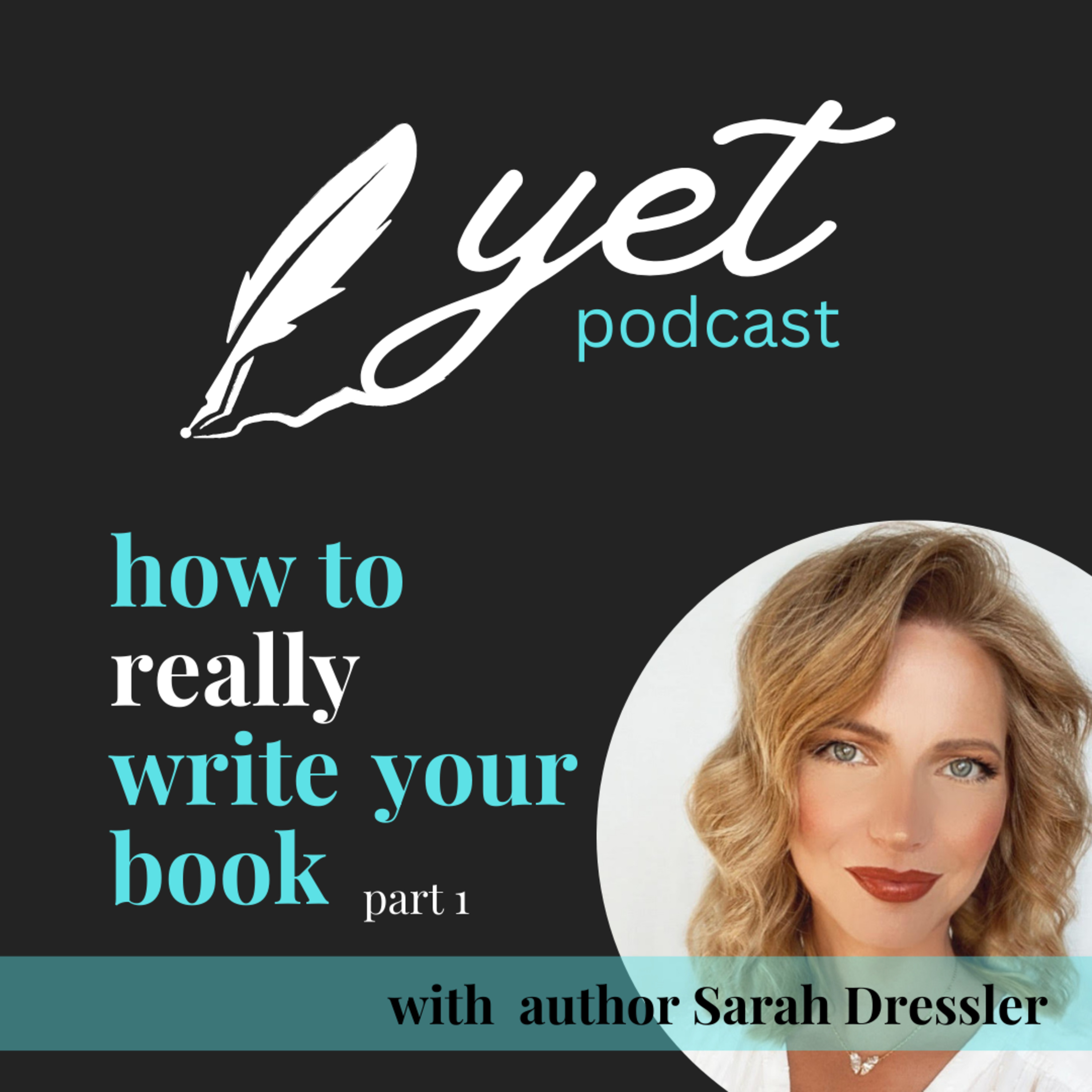 How to Really Write Your Book - Author Sarah Dressler (part 1) episode artwork