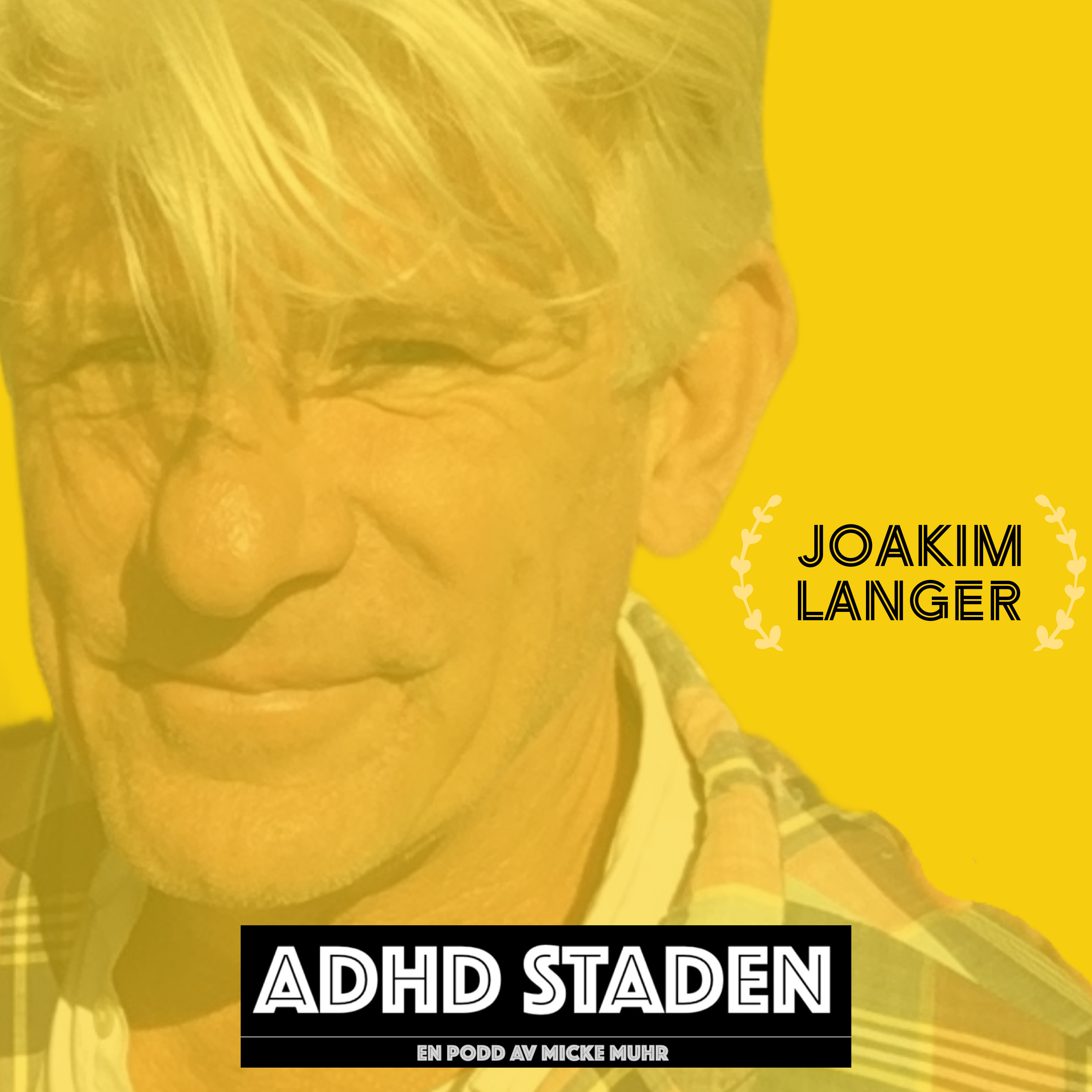 Joakim Langer — Swedish episode artwork