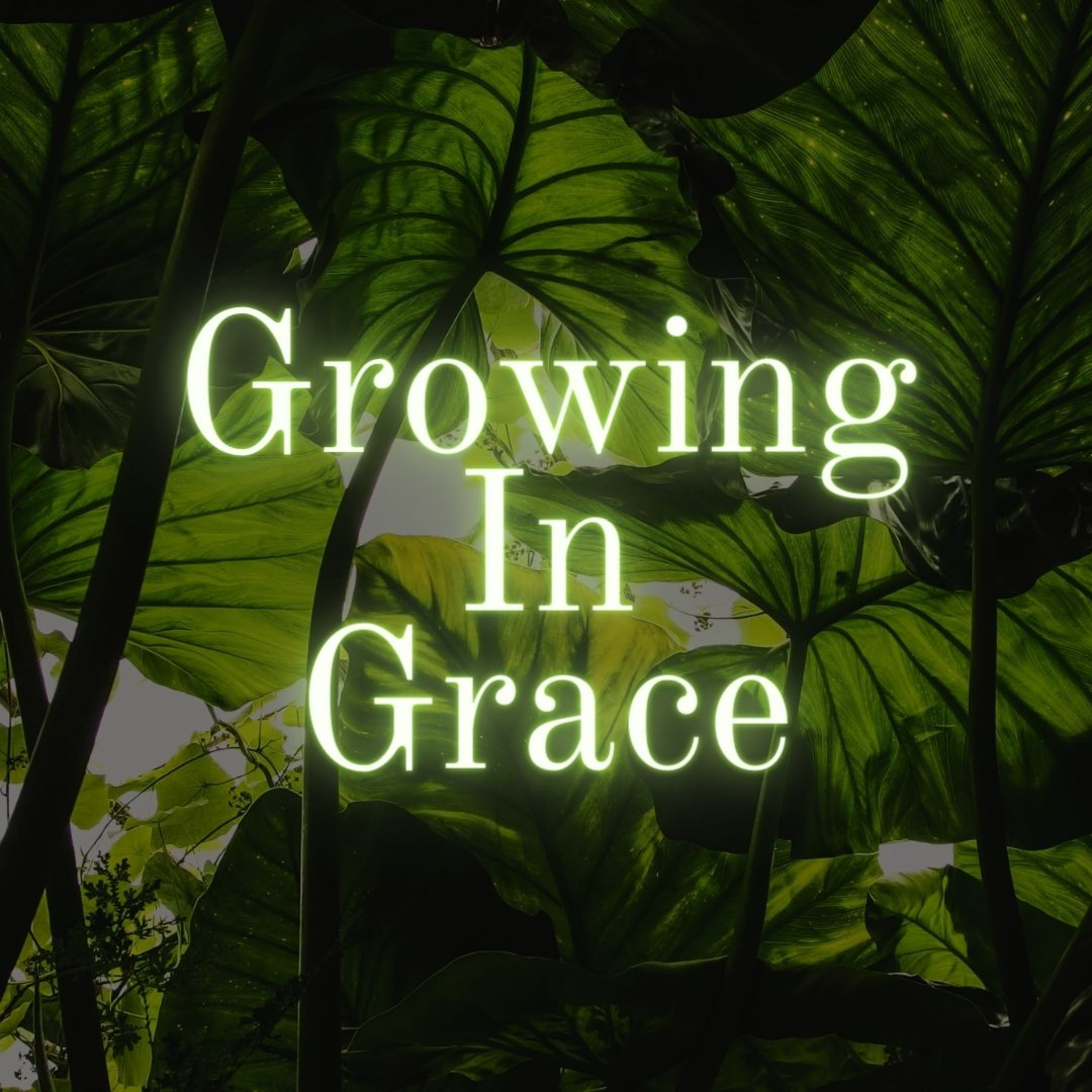 Strut In Faith - Bible Study