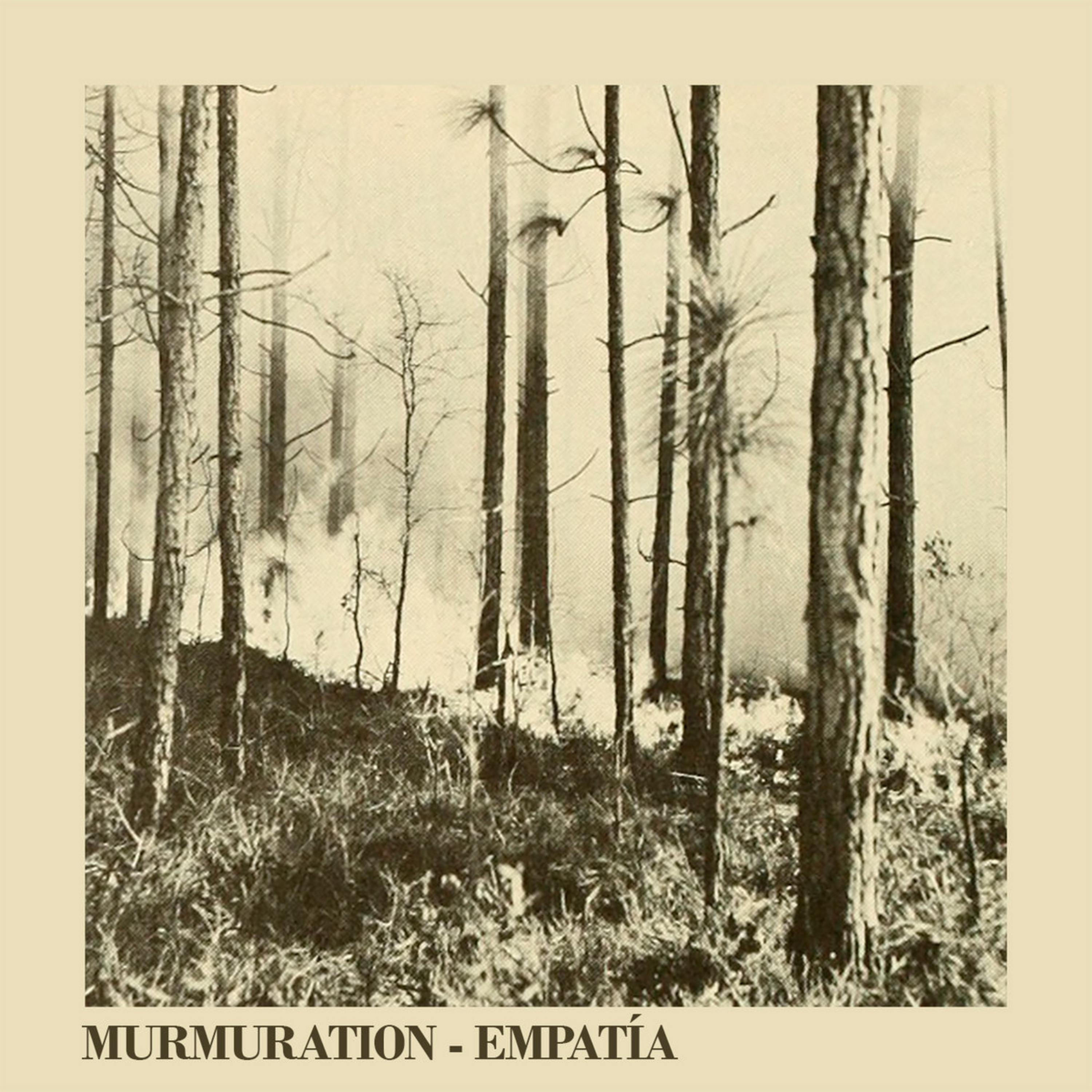 Murmuration [poesía+sonido]