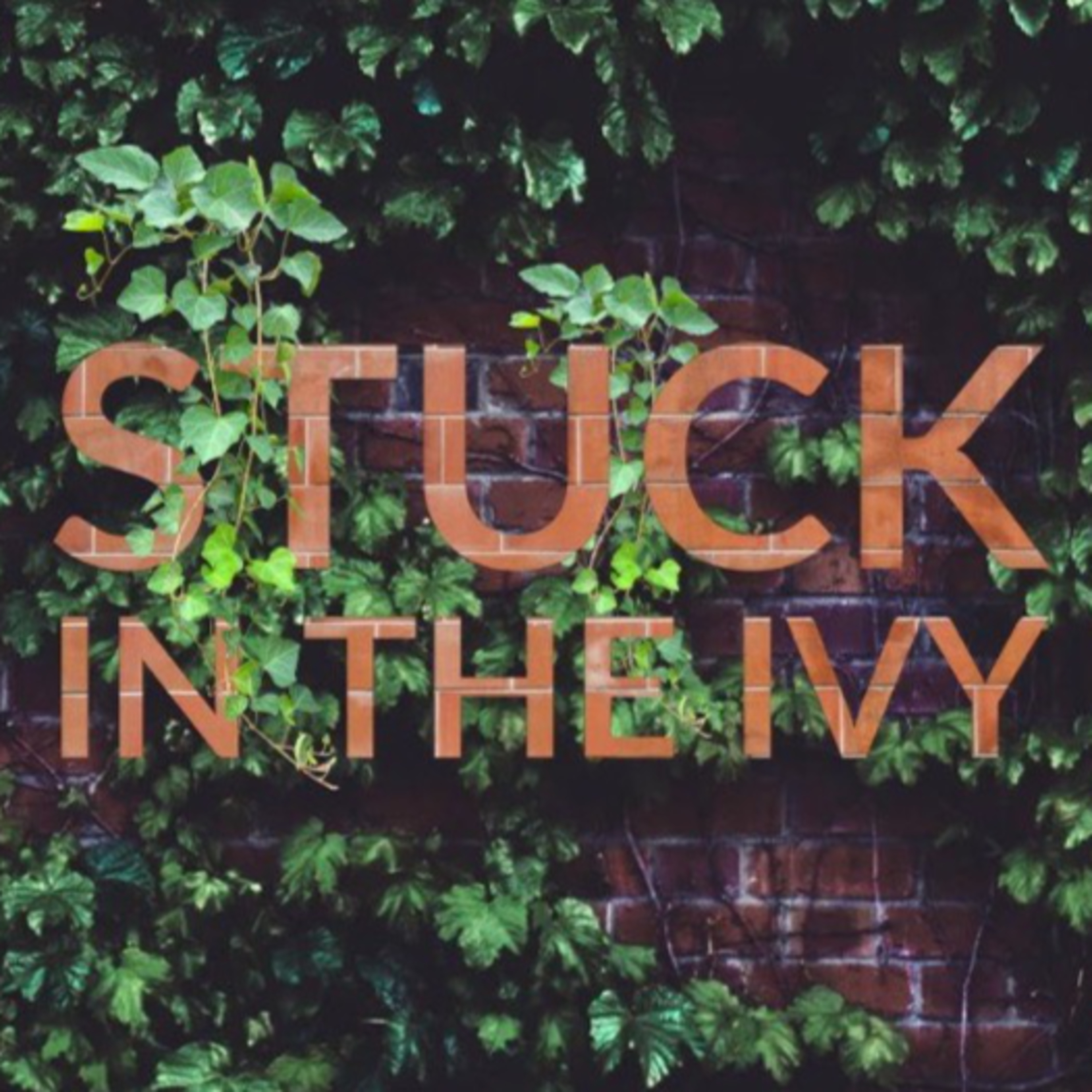 Stuck In the Ivy