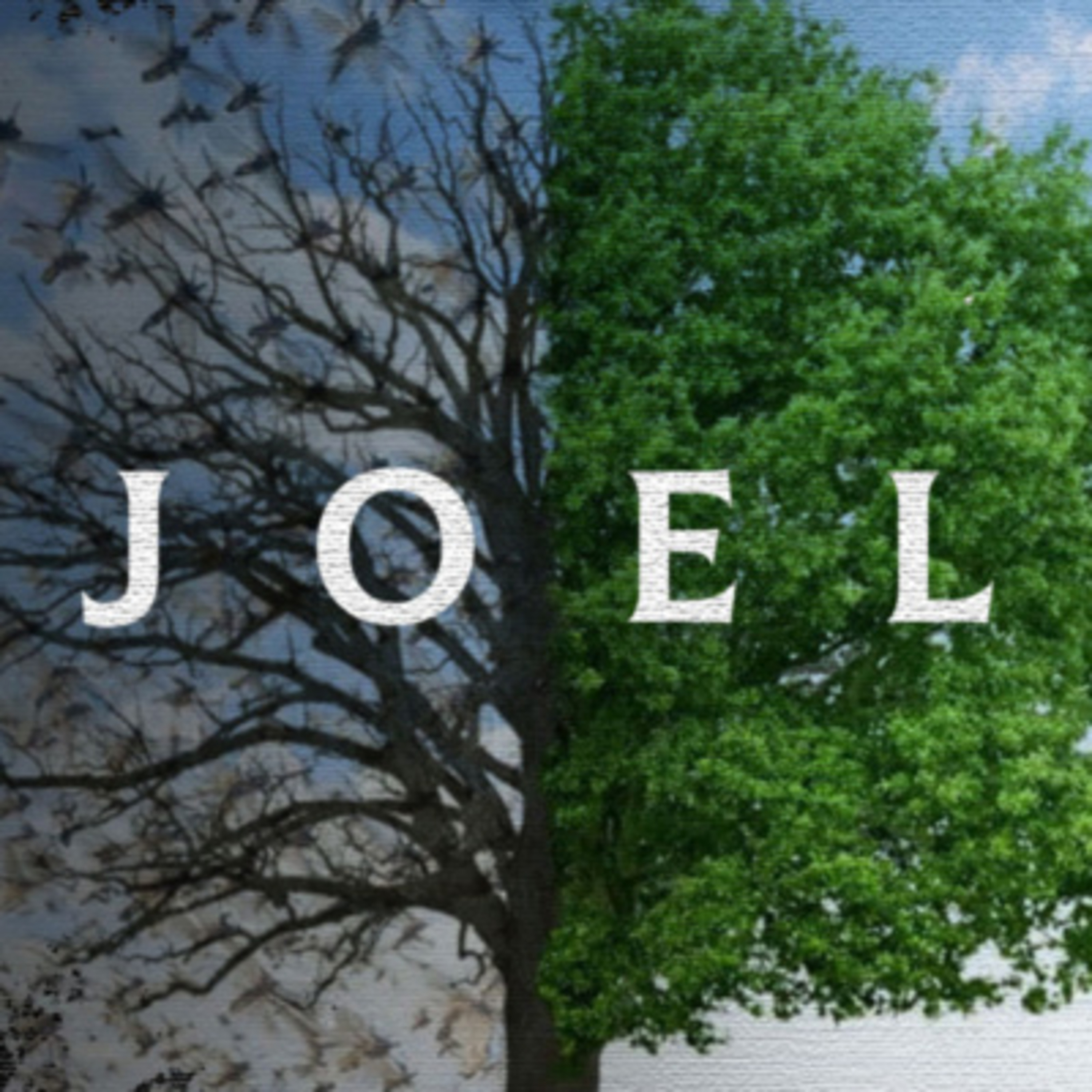 Joel 2:18-27 - "Restoring the Years" episode artwork