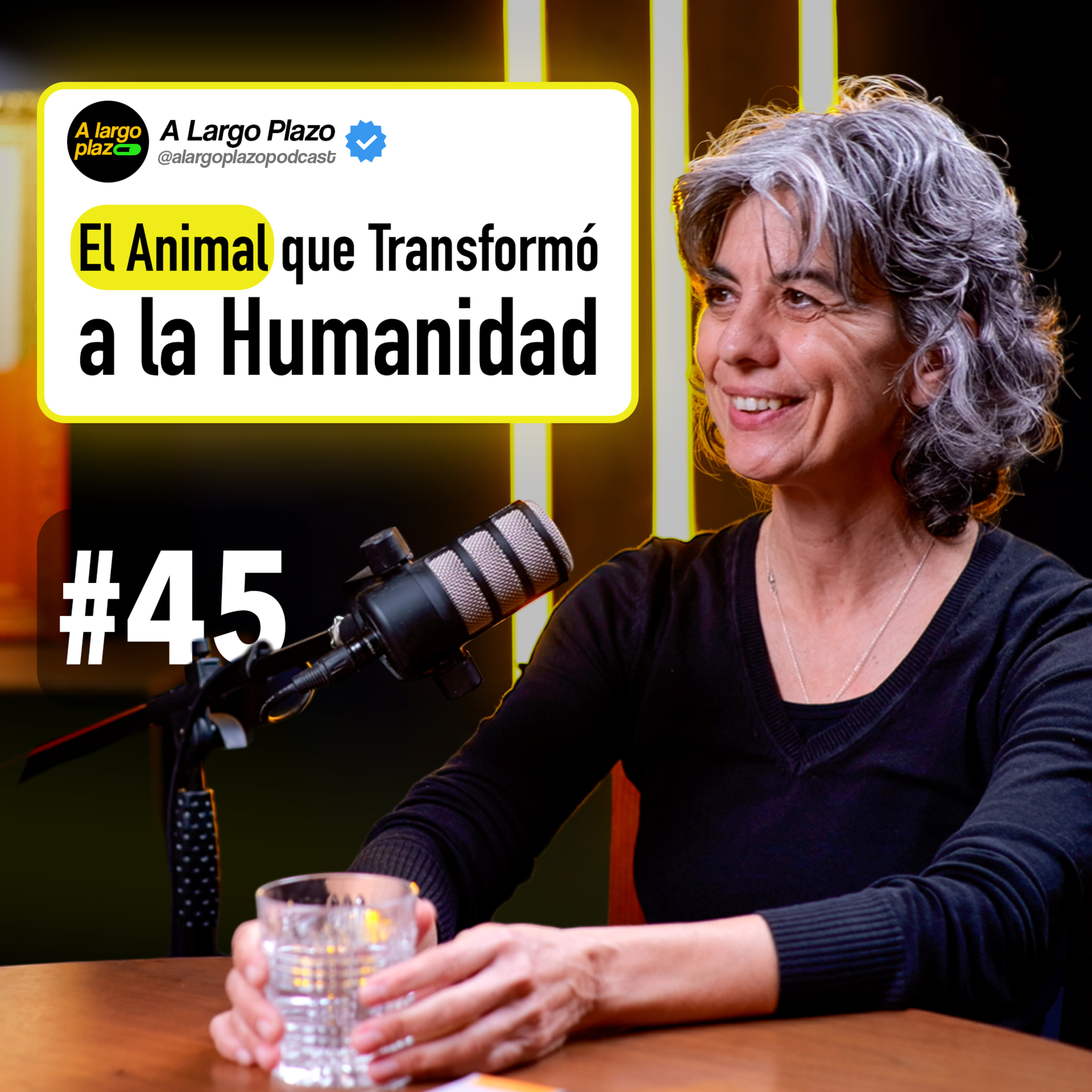 A Largo Plazo Podcast