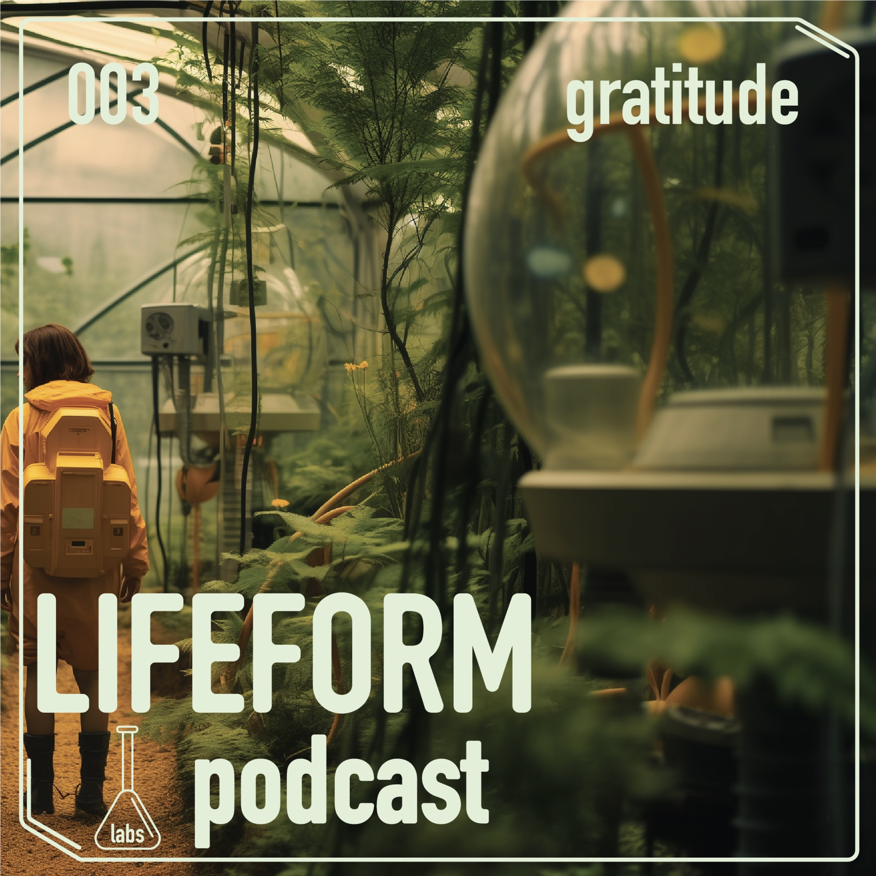 Gratitude episode artwork