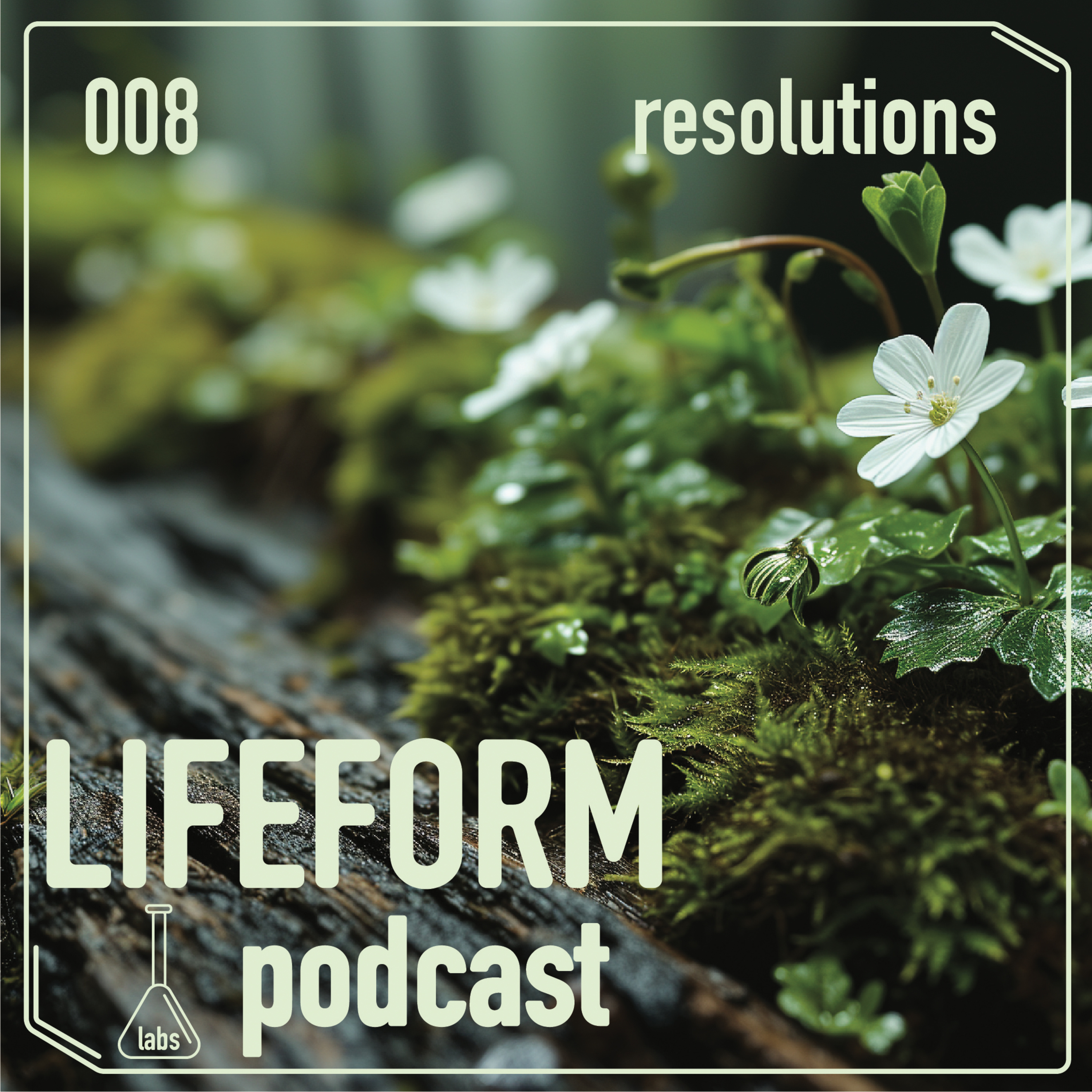 Resolutions episode artwork