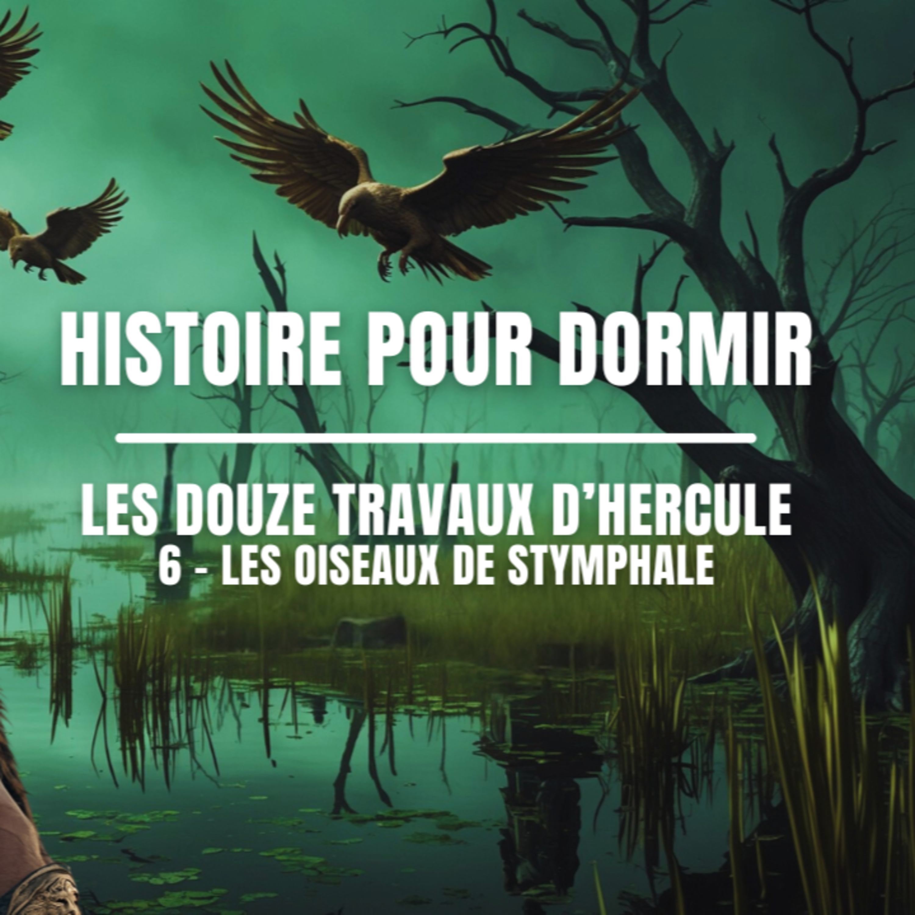 ✨ Les 12 Travaux d’Hercule – Épisode 6 : Les Oiseaux du Lac Stymphale 🦅🌊 | Histoire pour Dormir episode artwork