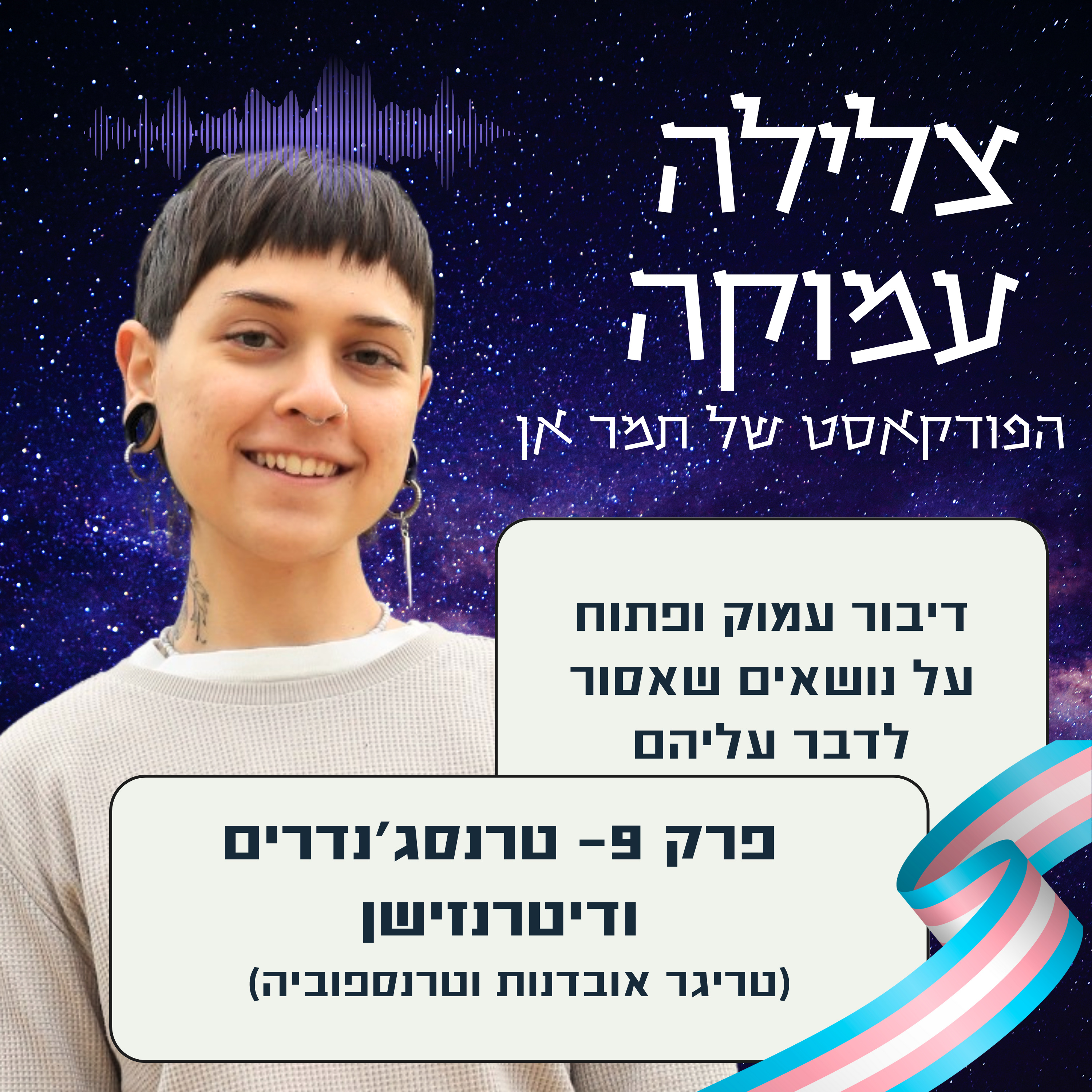 פרק 9- על אג'נדת החרבת המגדר, טרנסג'נדרים ועוד (טריגר אובדנות וטרנספוביה) episode artwork