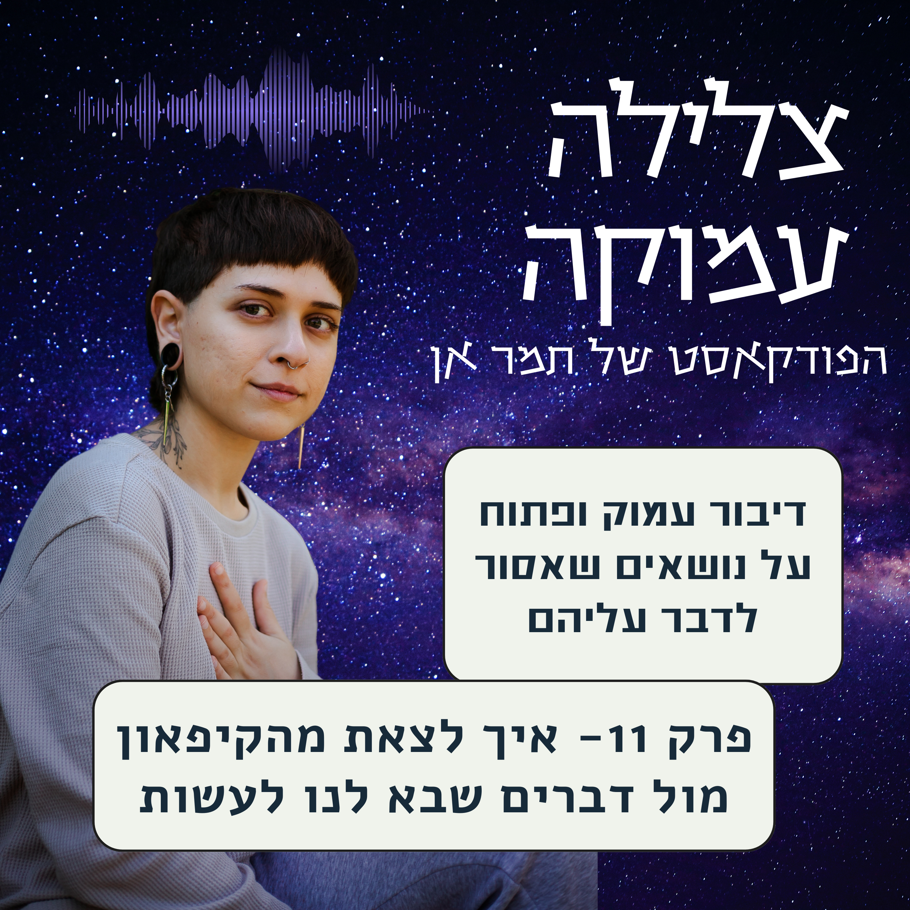 פרק 11- מה לעשות כשחשק ליצור פוגש דיכאון episode artwork