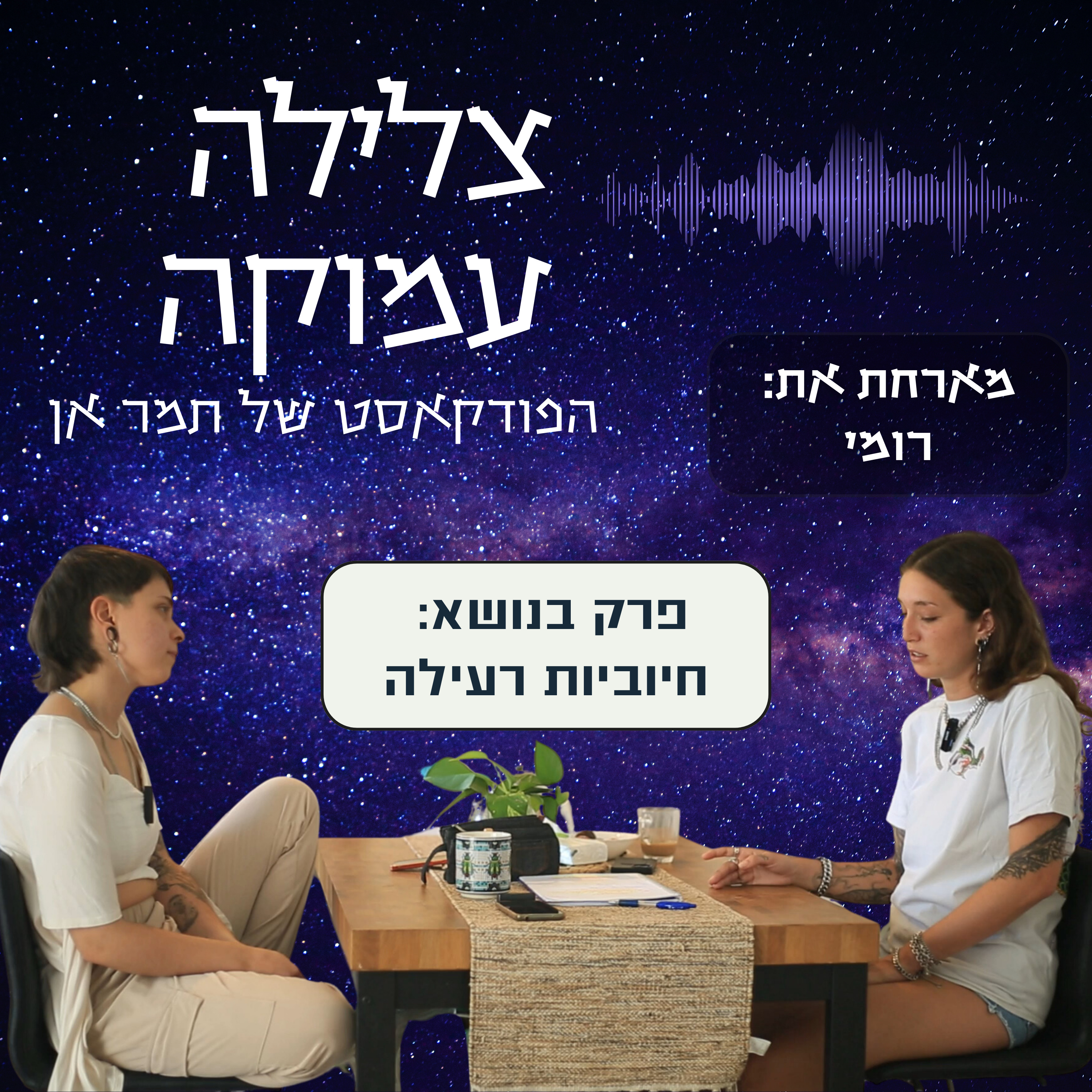 פרק 12- על חיוביות רעילה, גברים שלא מראים רגשות ואיך להתייחס למי שעברו את השביעי באוקטובר- מארחת את רומי episode artwork