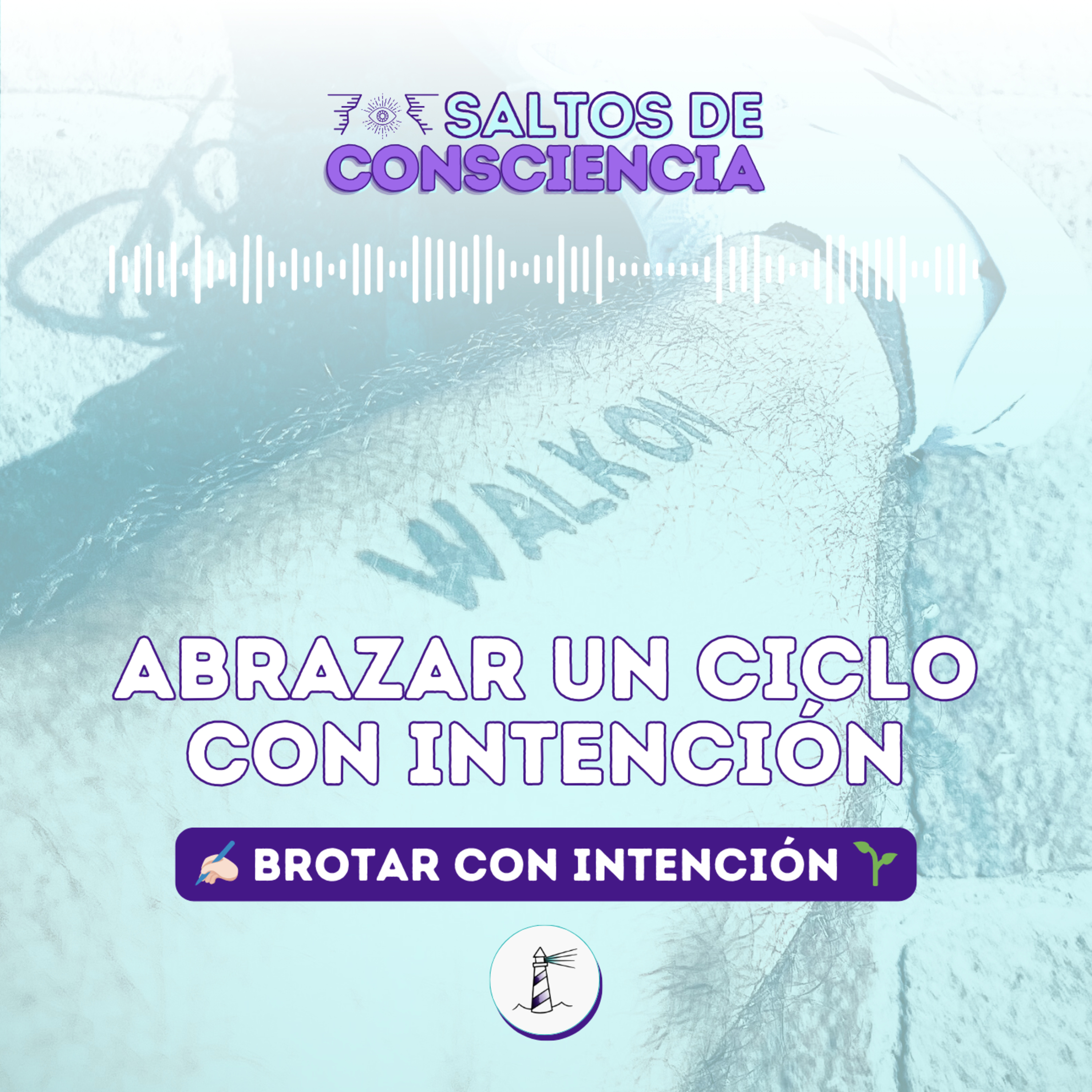 Saltos de Consciencia