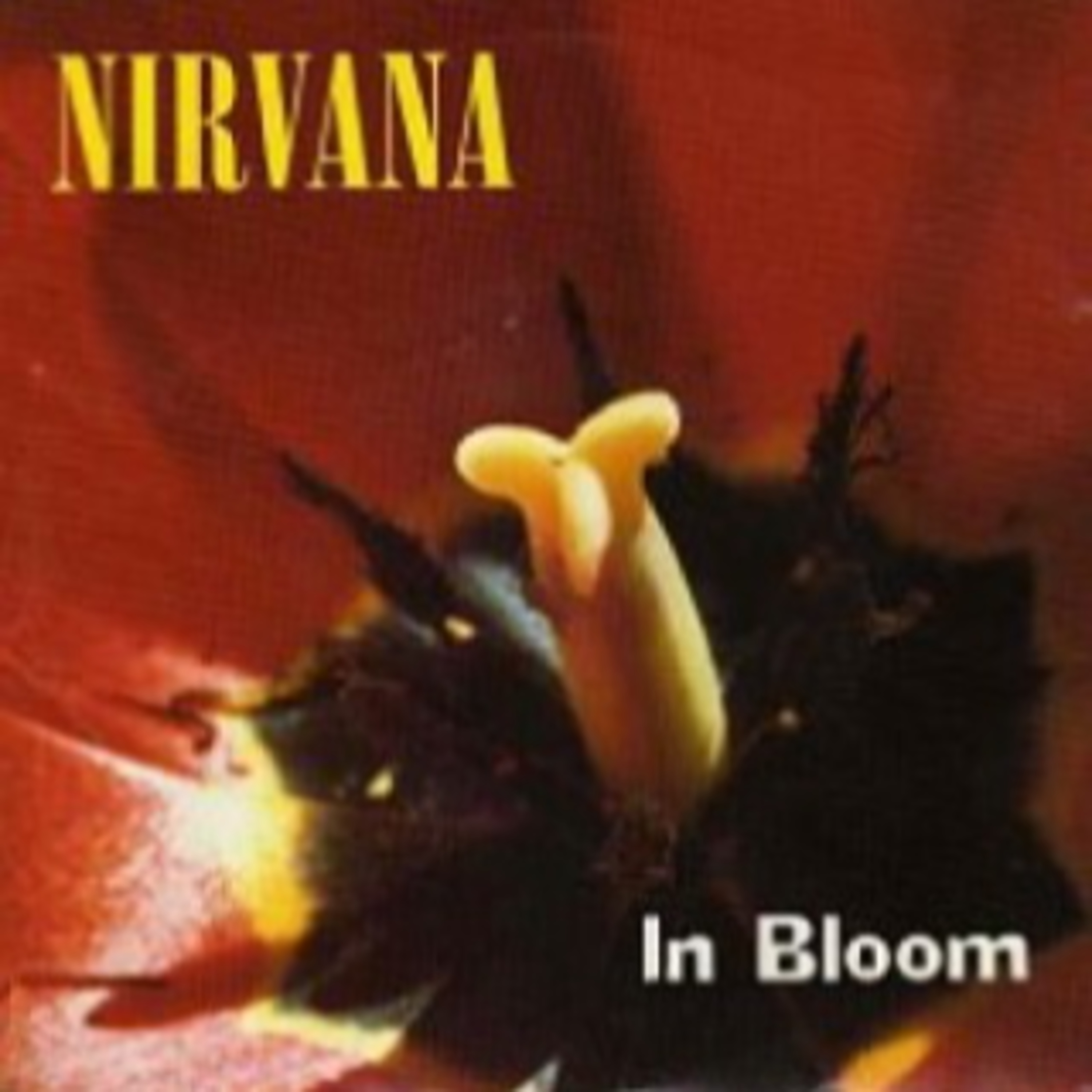 Nirvana - In Bloom (Isolated Tracks) episode artwork