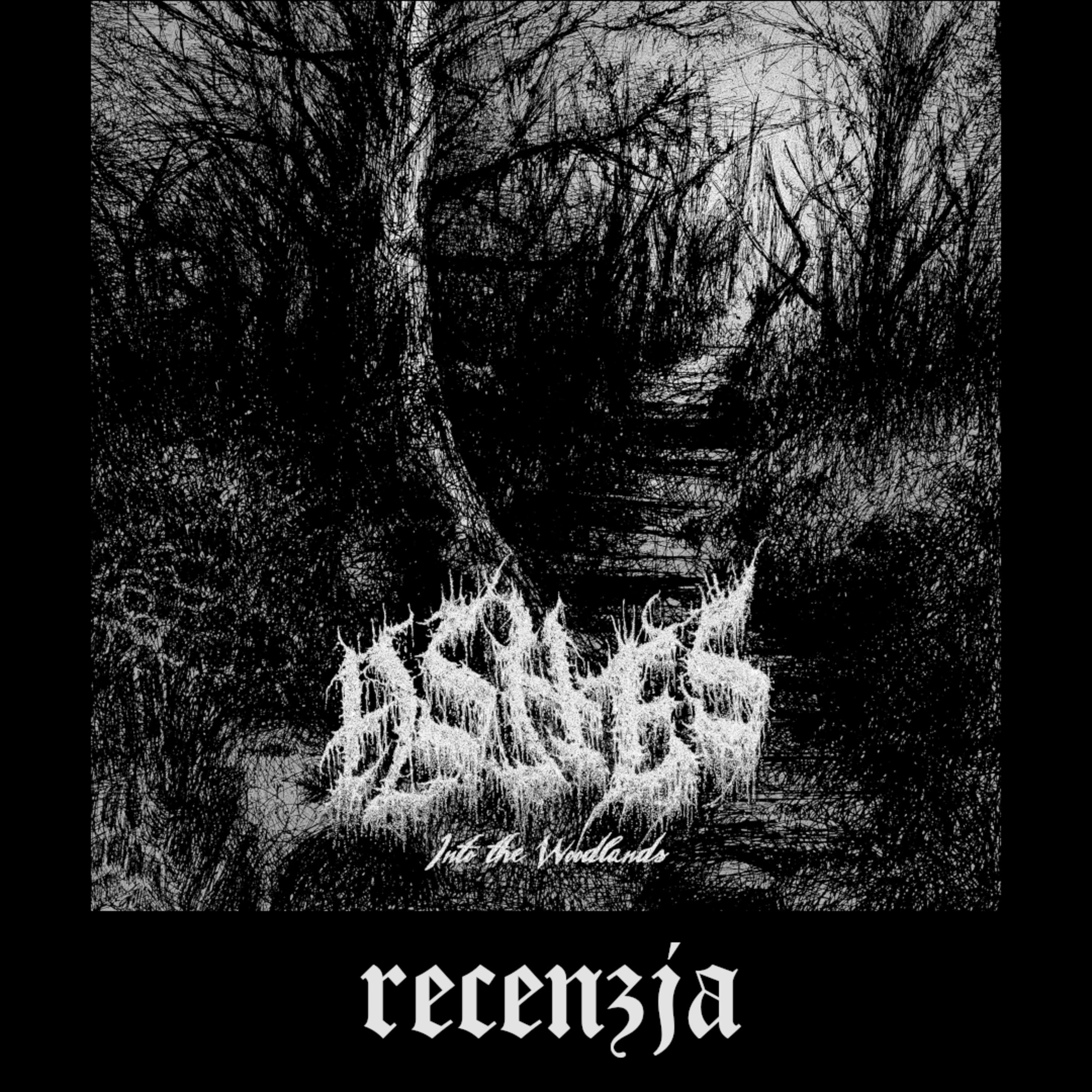 RECENZJA. Ashes - "Into the Woodlands" (Malignant Voices, 2026) episode artwork