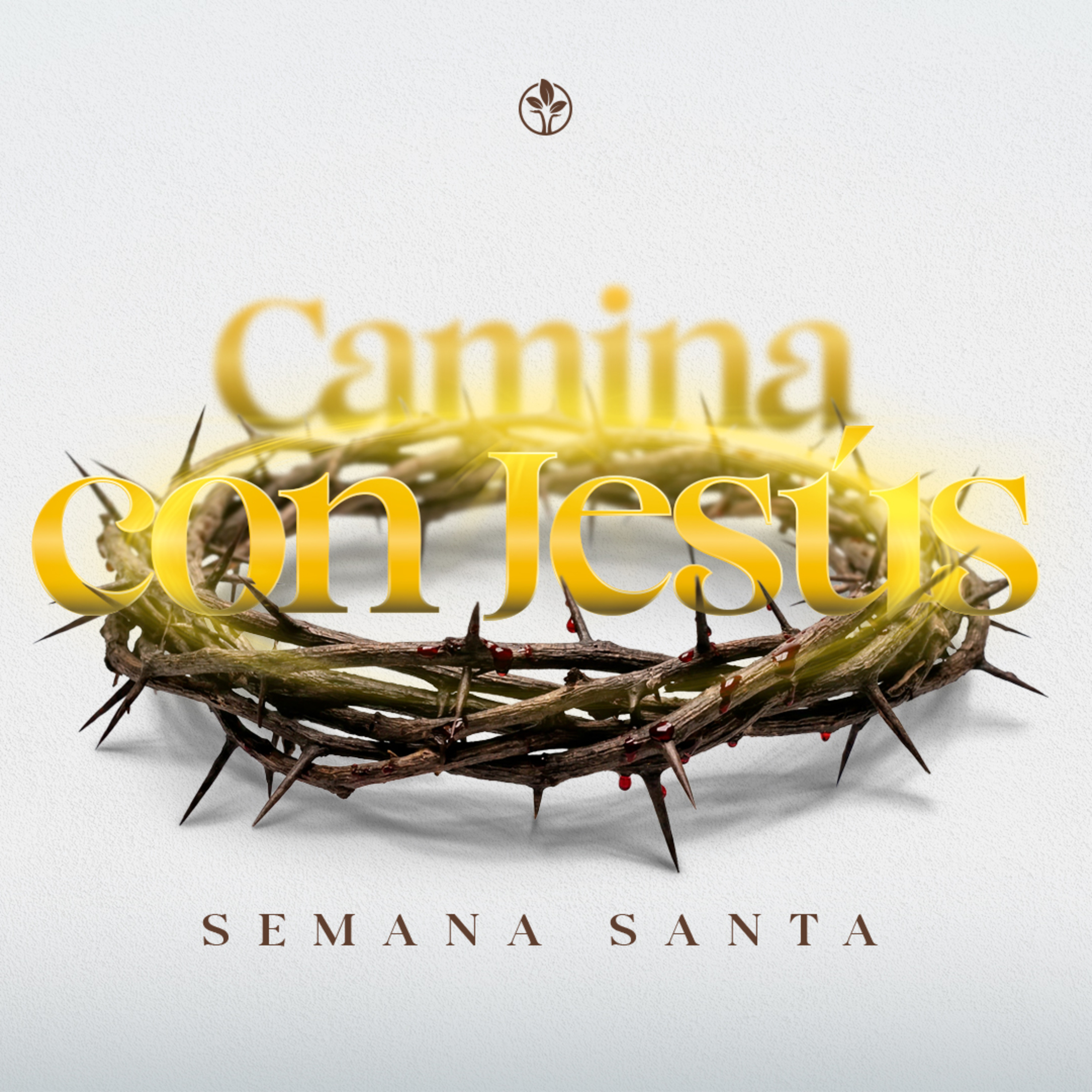 Portada de Iglesia DC