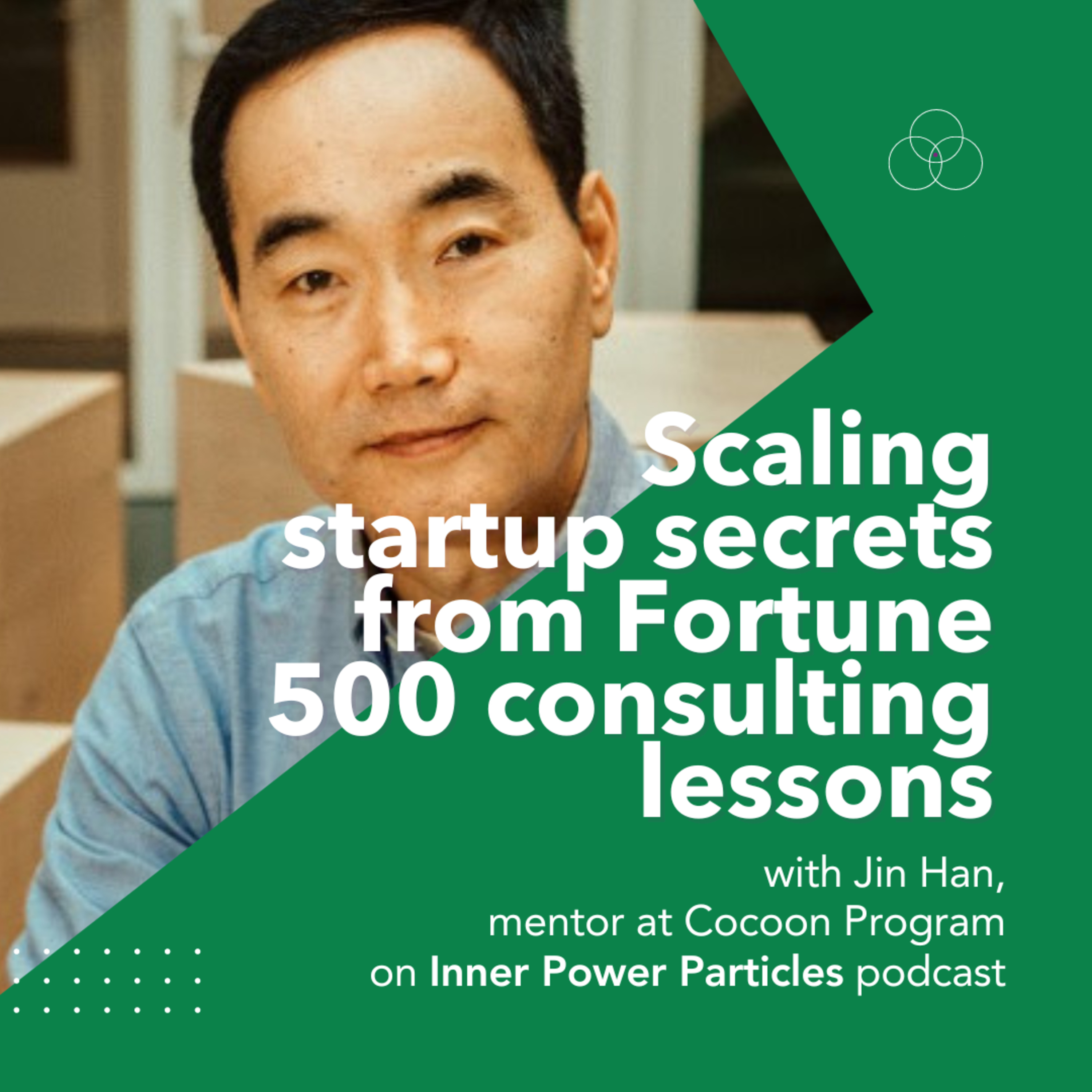 Scaling secrets from Fortune 500 consulting lessons - Jin Han and Farhad Niyoz episode artwork