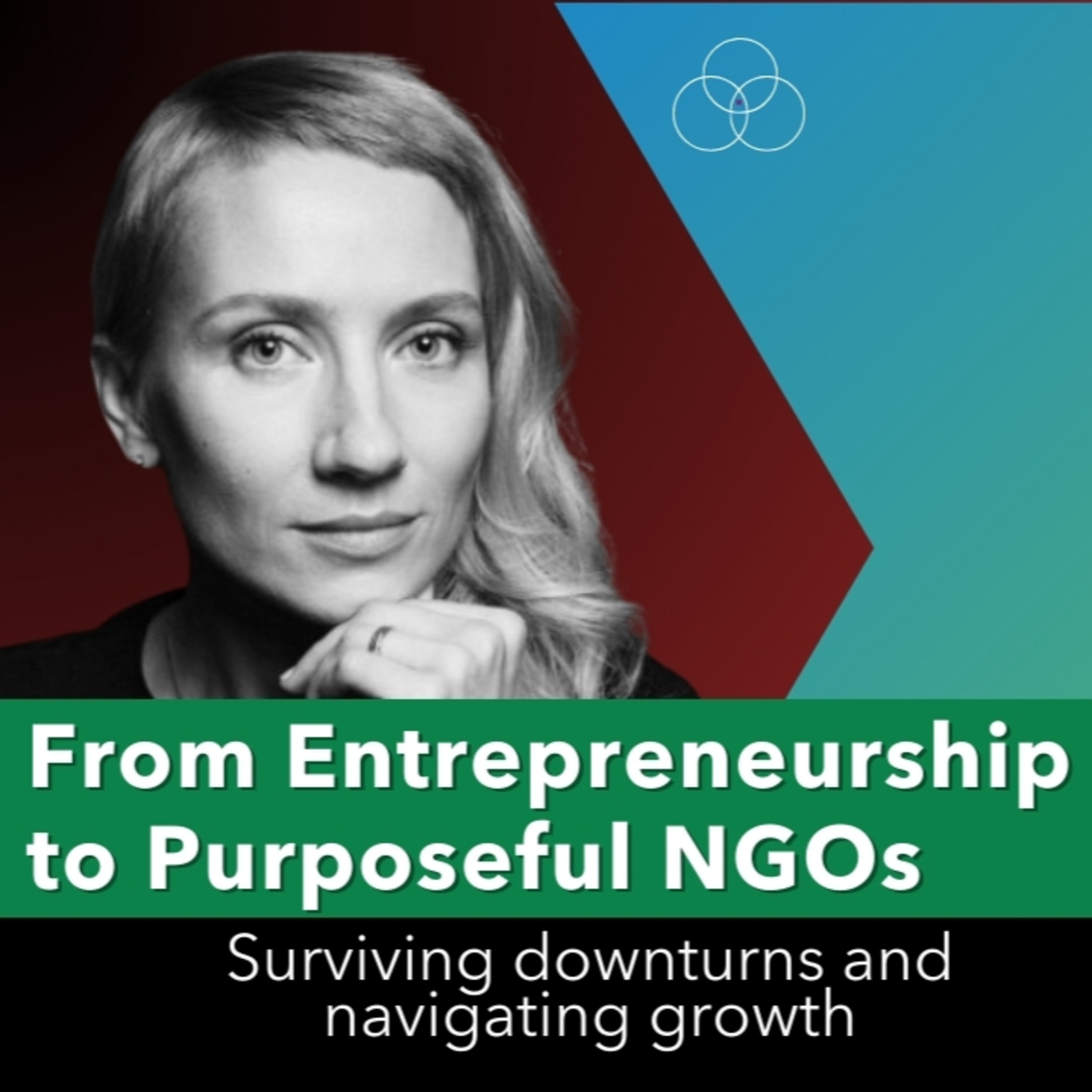 From entrepreneurship to purposeful NGOs, surviving downturns and navigating growth - Anna Andersone and Farhad Niyoz  episode artwork