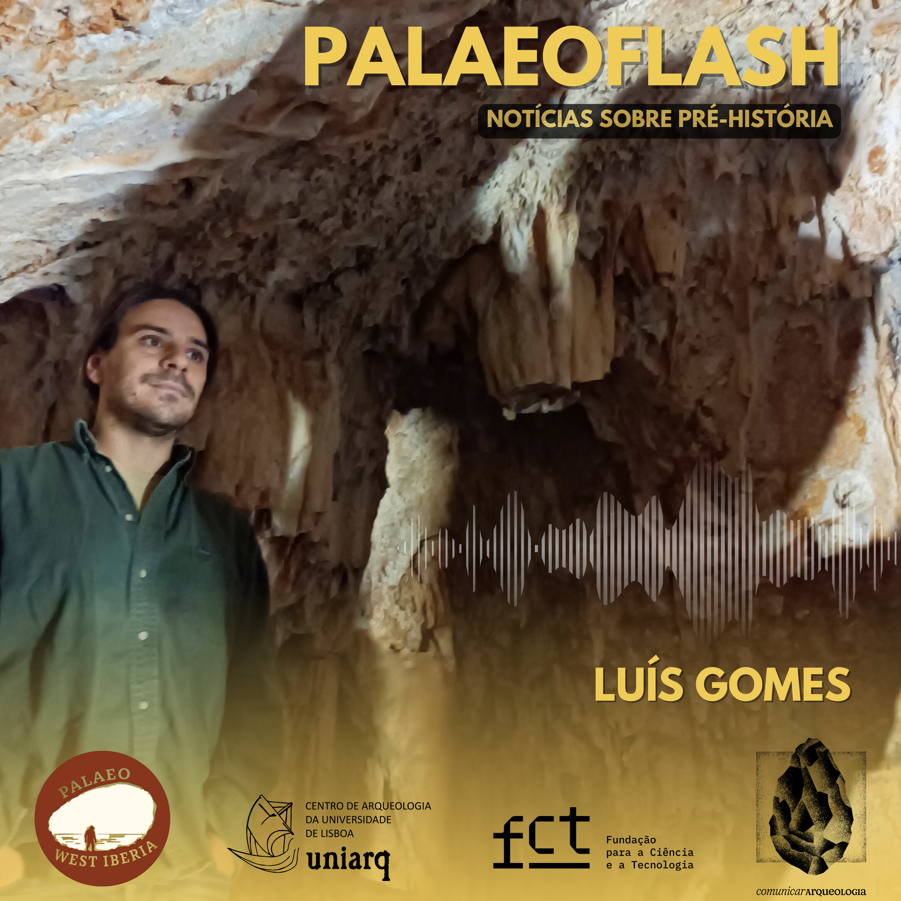 Luís Gomes episode artwork