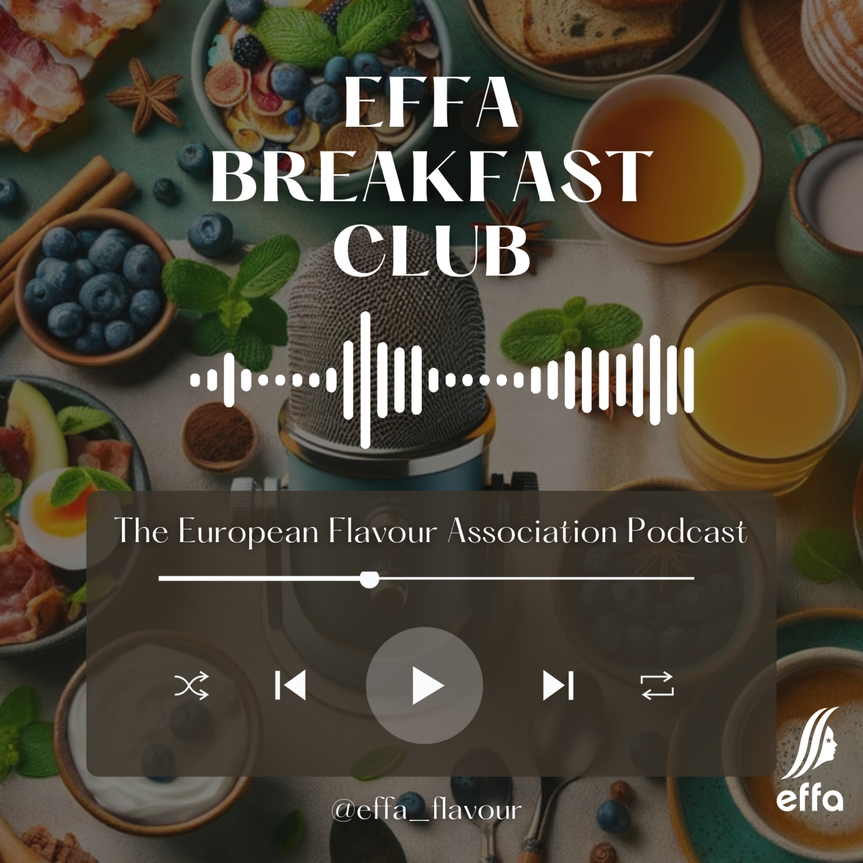 Episode 1 - Alexandre Cevallos, AEFAA President episode artwork