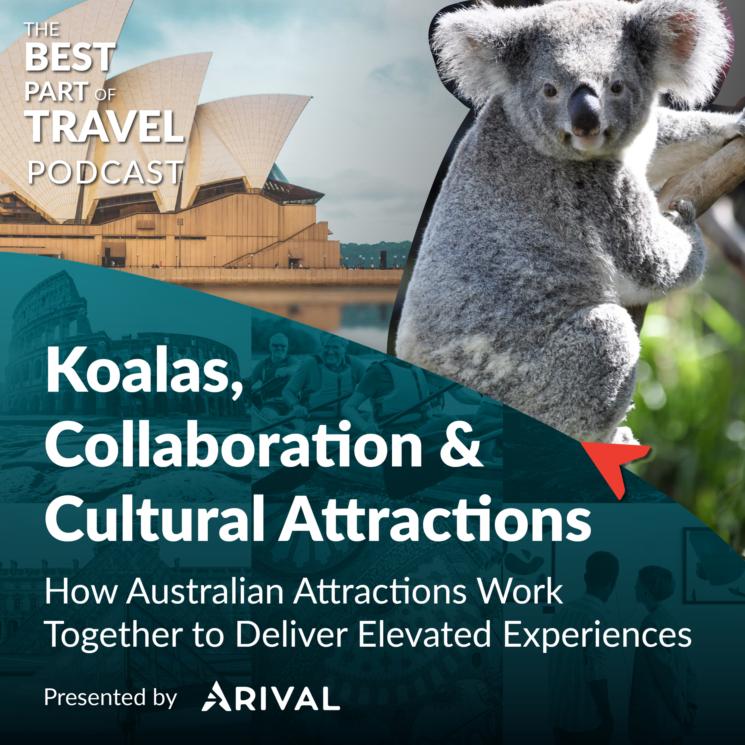 Koalas, Collaboration & Cultural Attractions: How Australian Attractions Work Together to Deliver Elevated Experiences