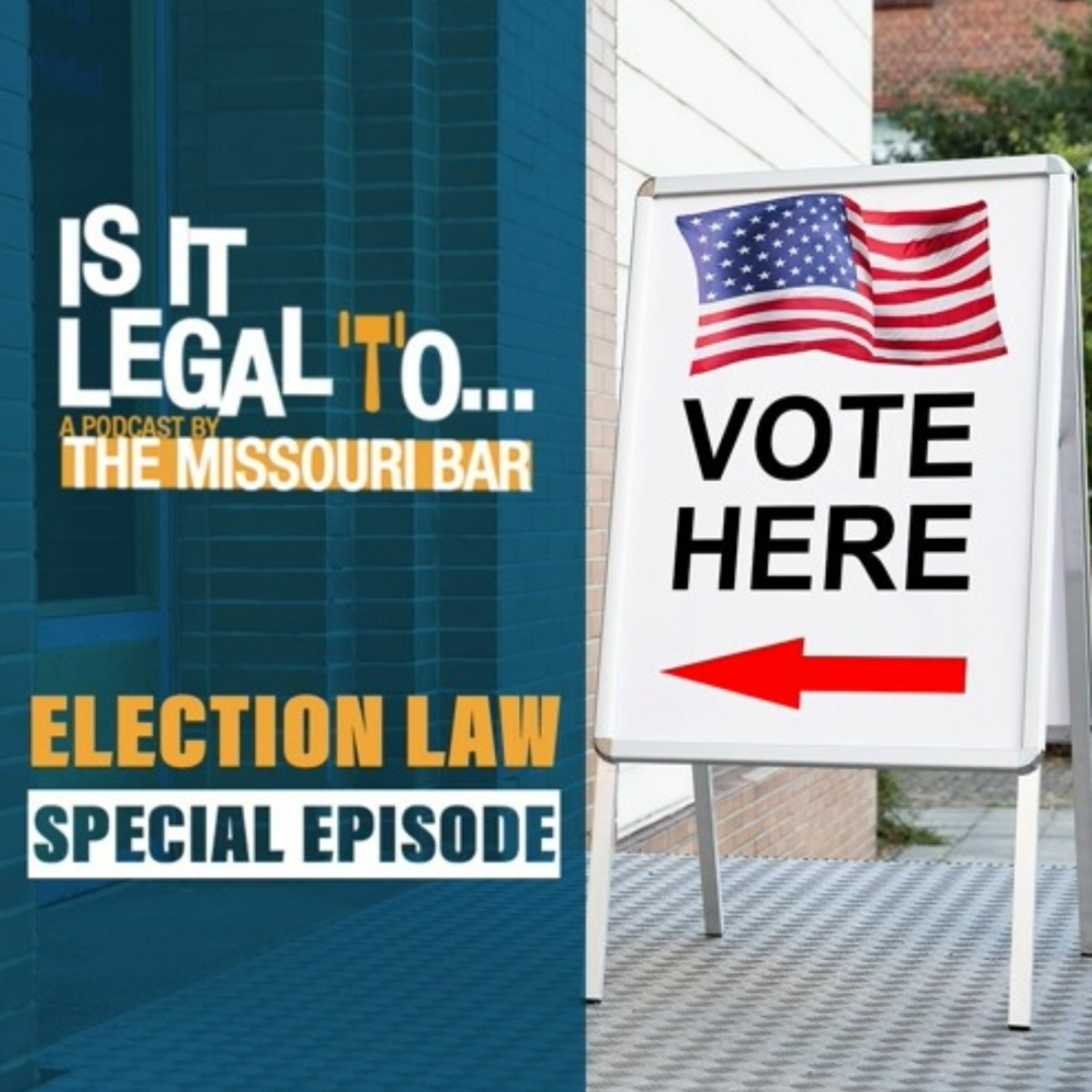 Is It Legal To - Election Laws