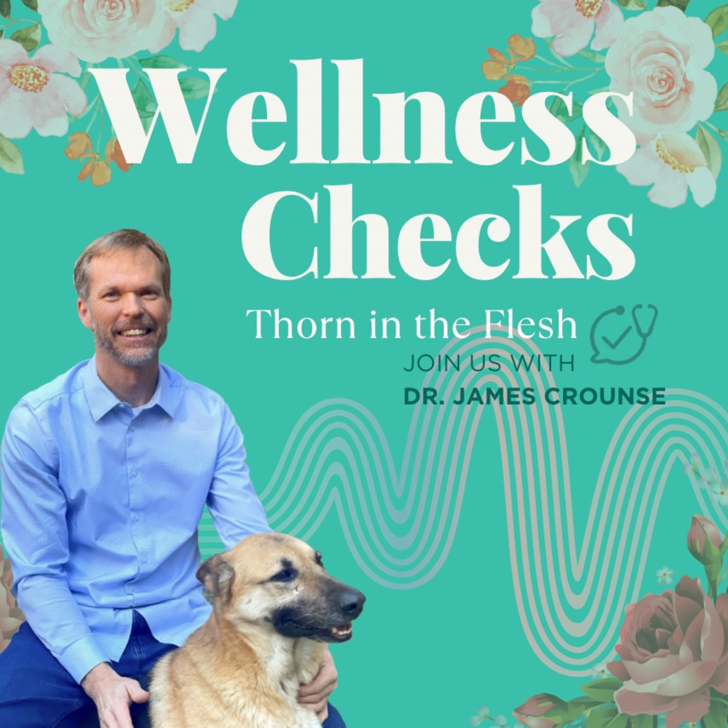 Wellness Checks