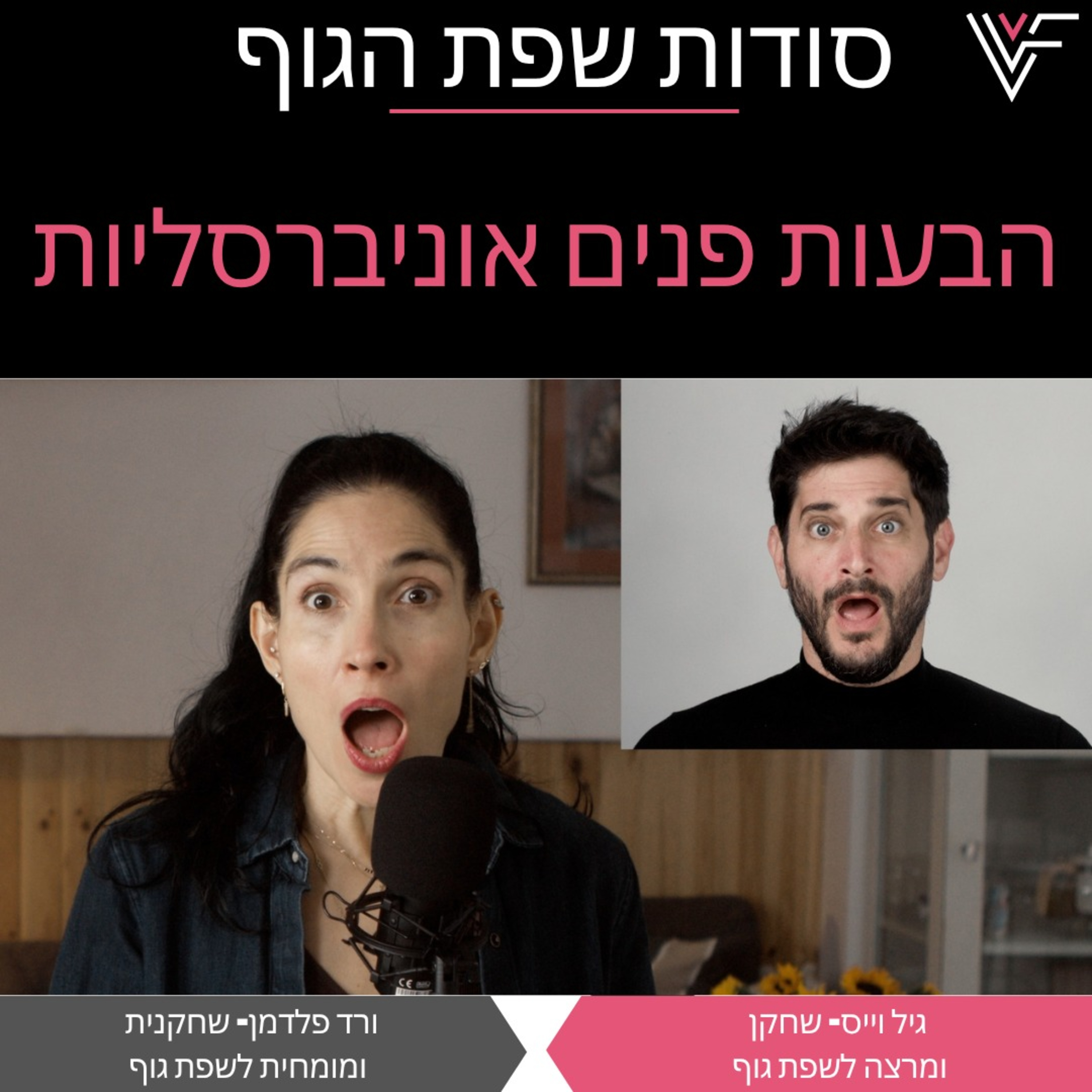 הבעות פנים אוניברסליות episode artwork