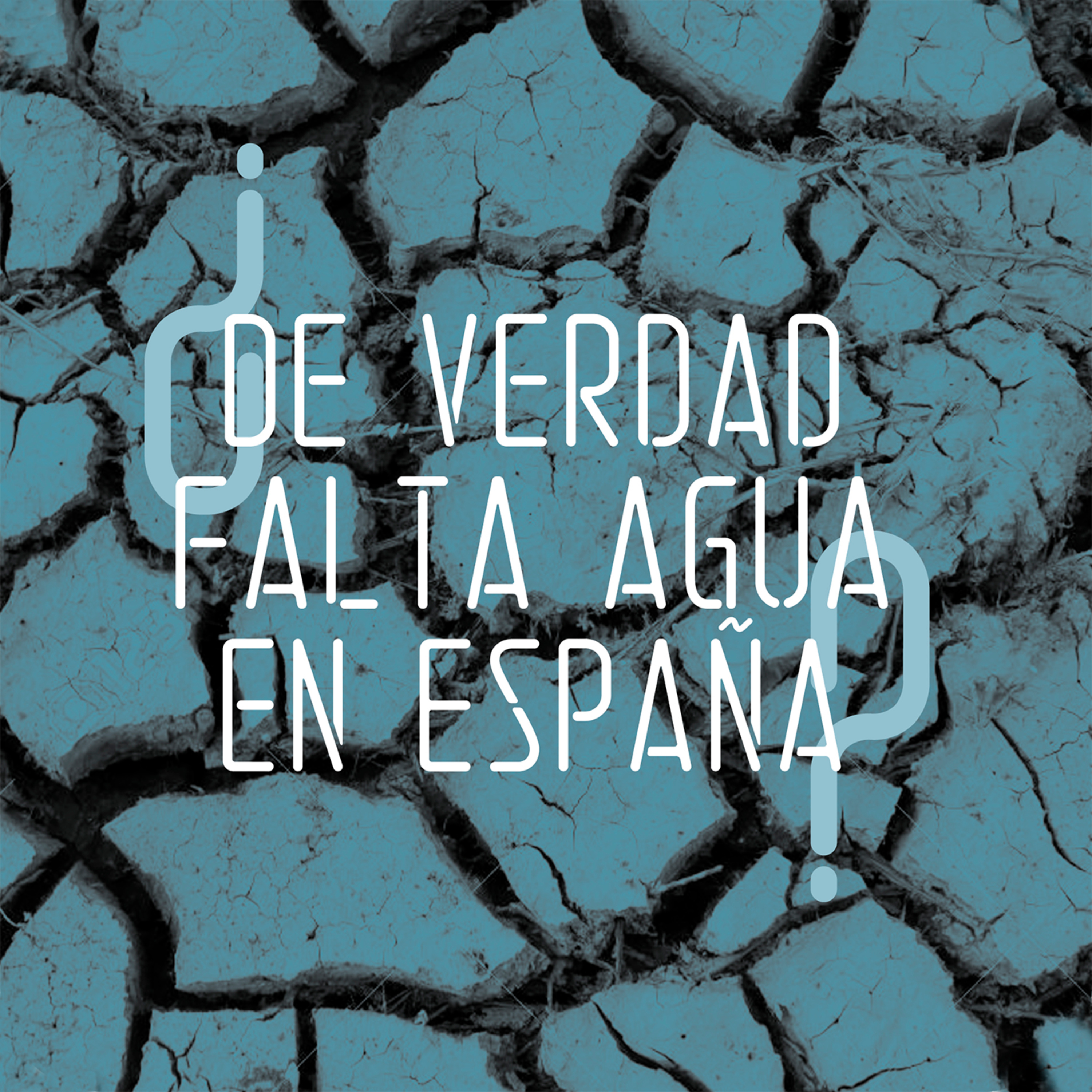 Las preguntas de la Fundación Botín