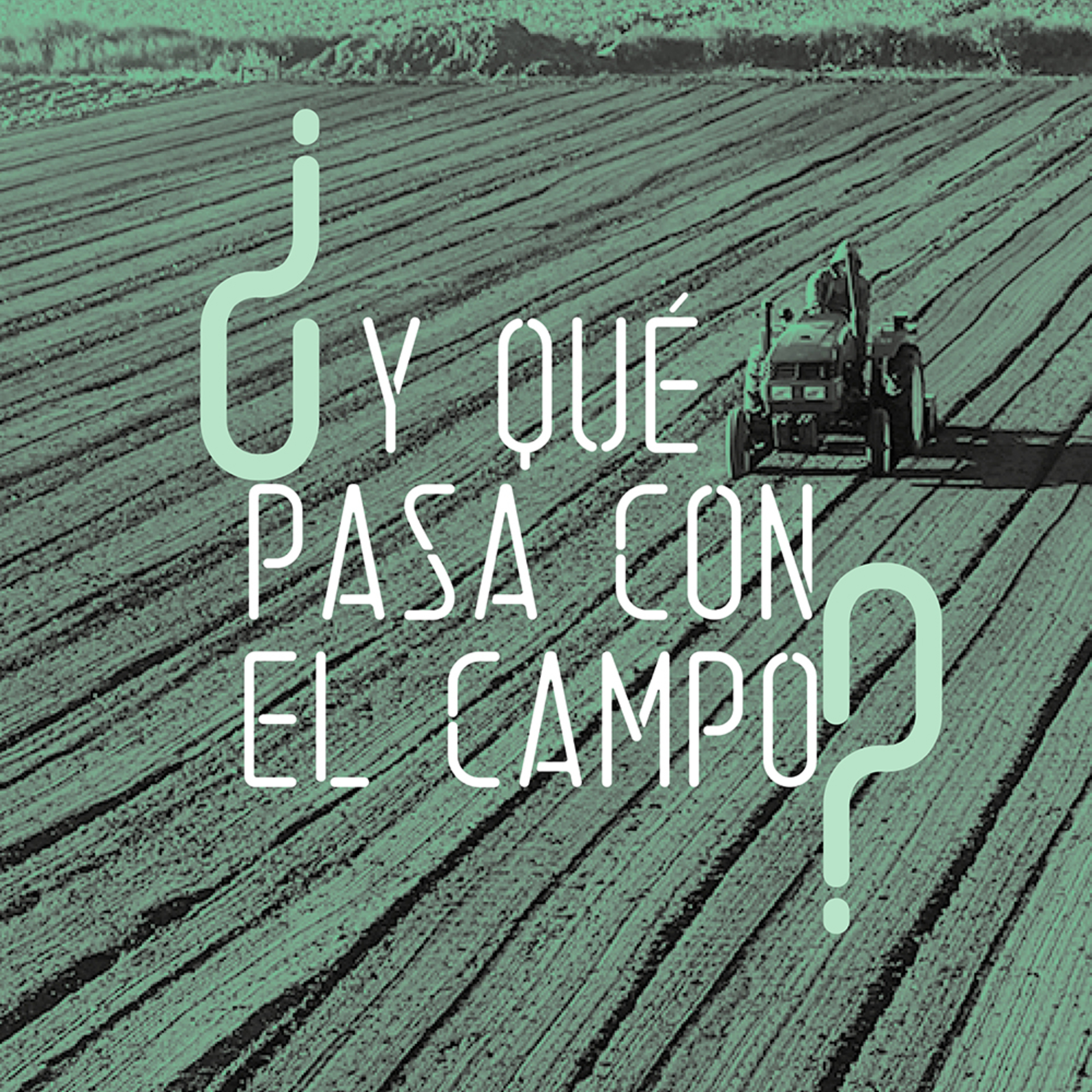 Las preguntas de la Fundación Botín