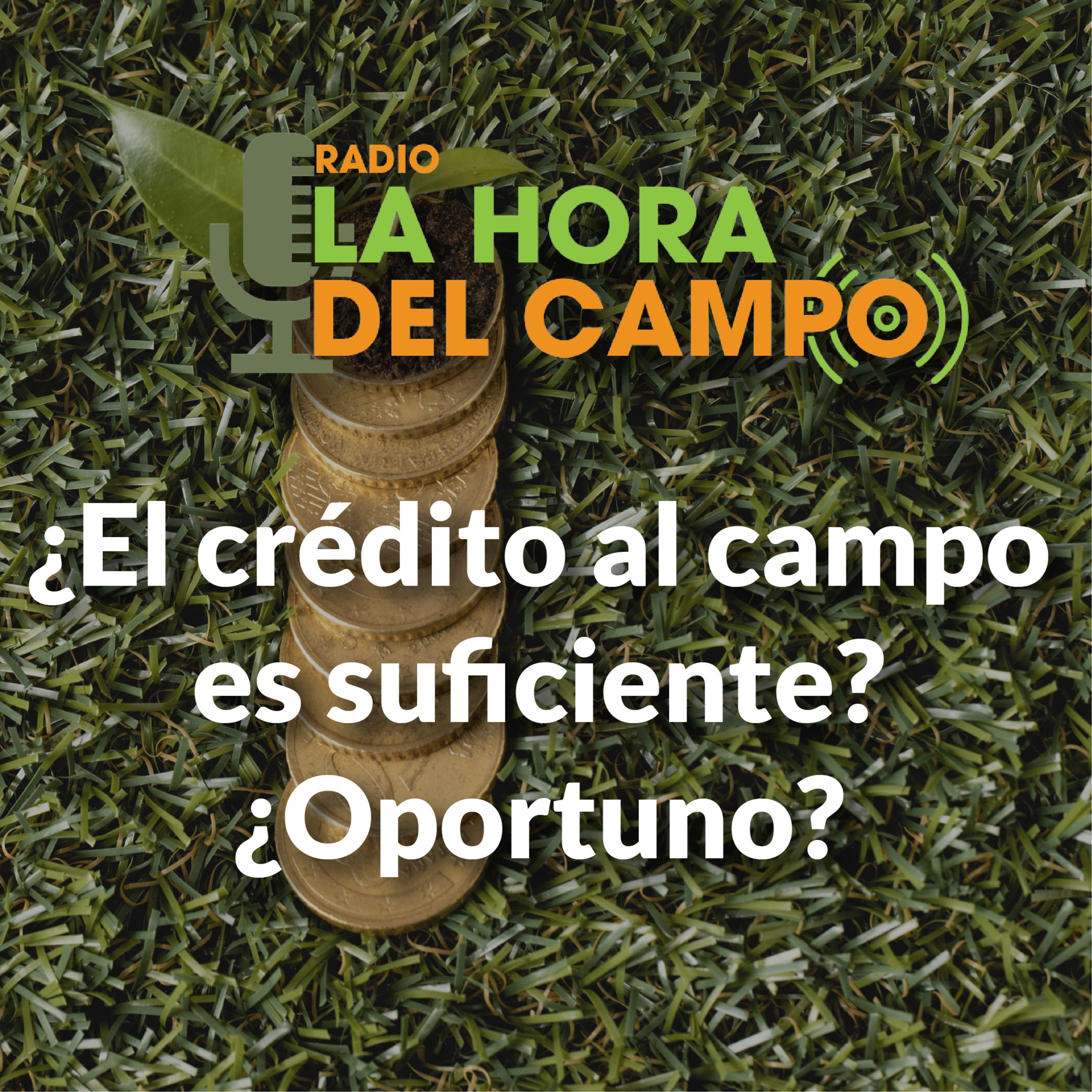 La Hora del Campo