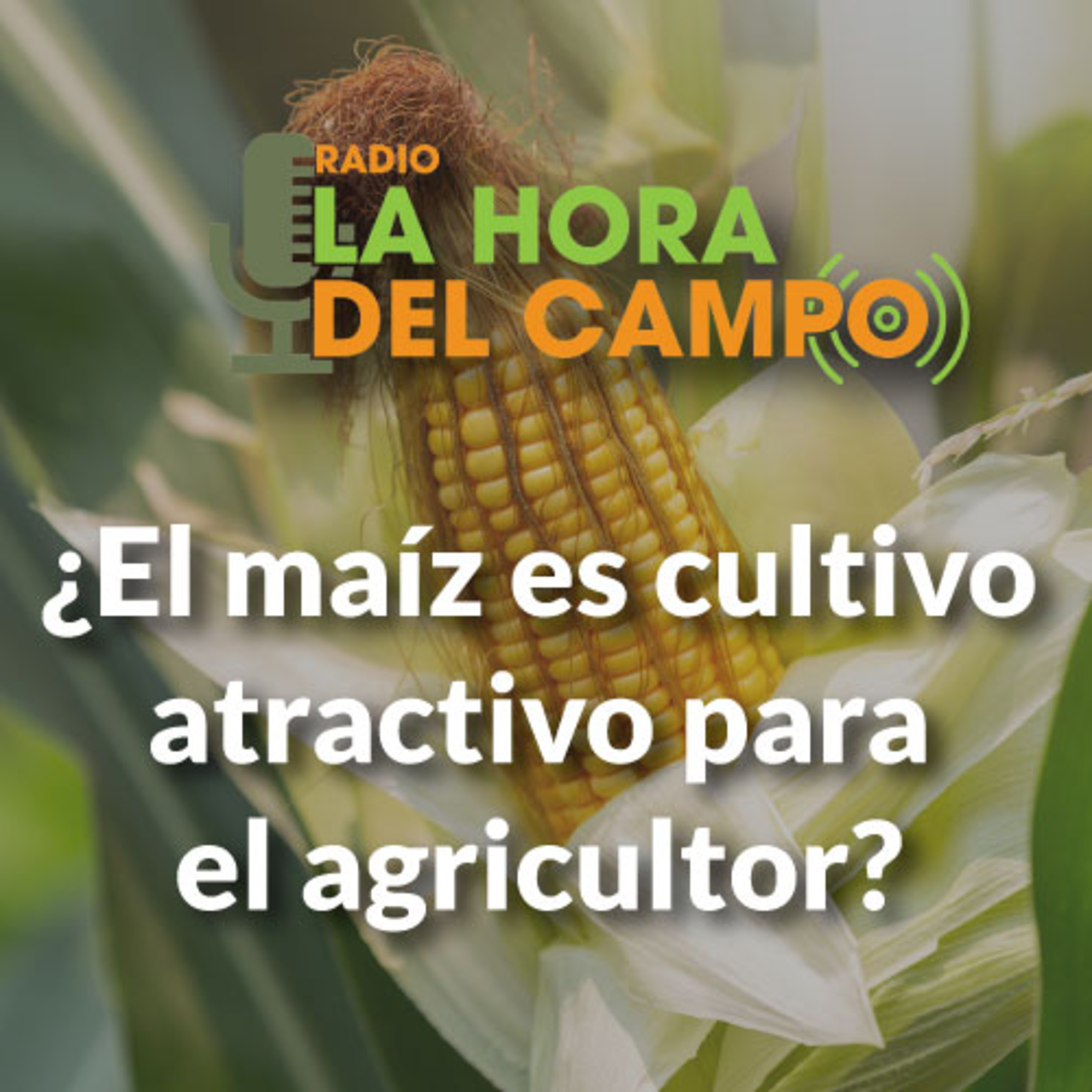 La Hora del Campo