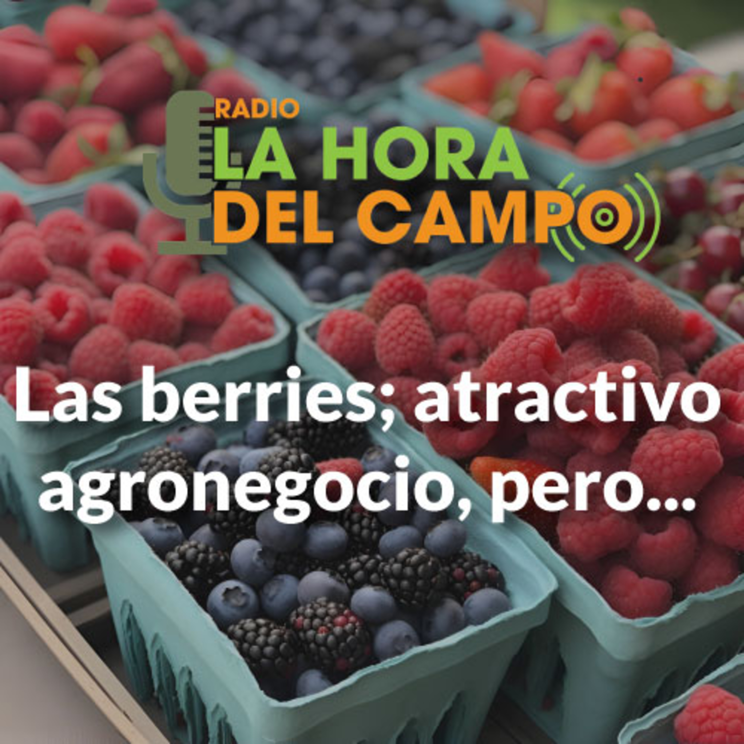 La Hora del Campo