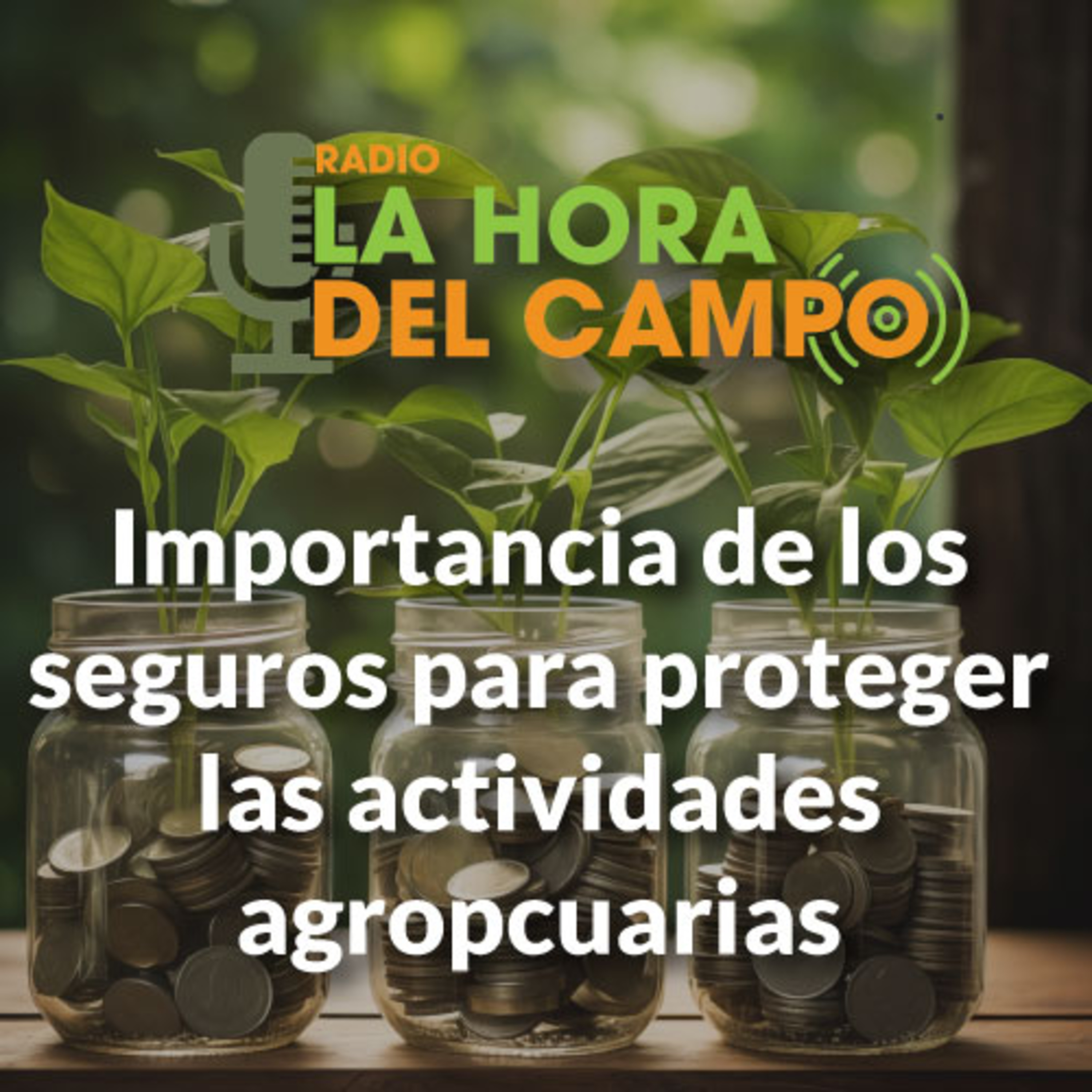 La Hora del Campo