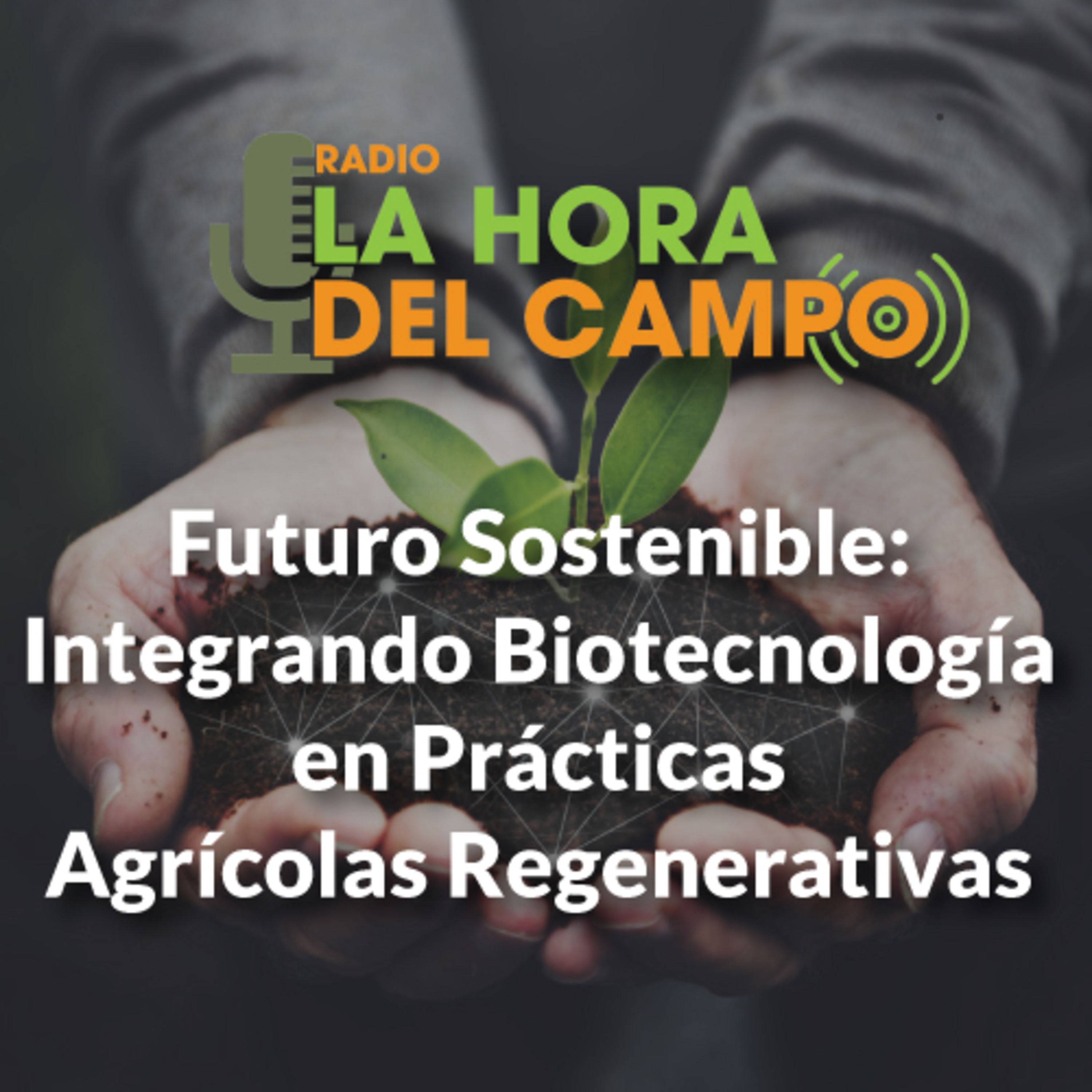 La Hora del Campo