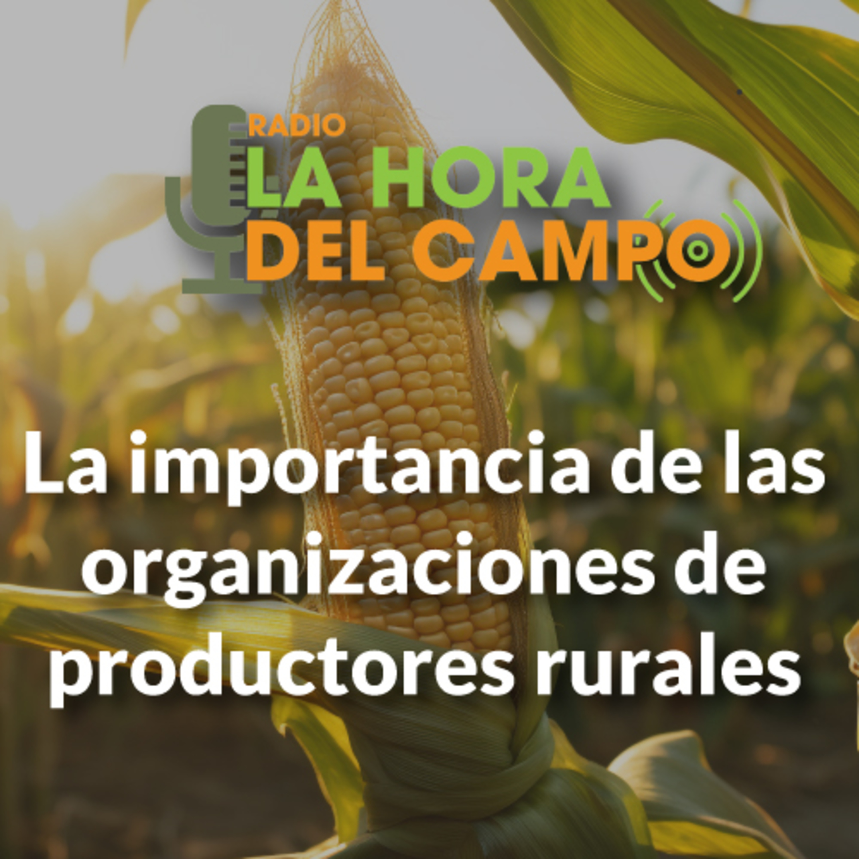La Hora del Campo