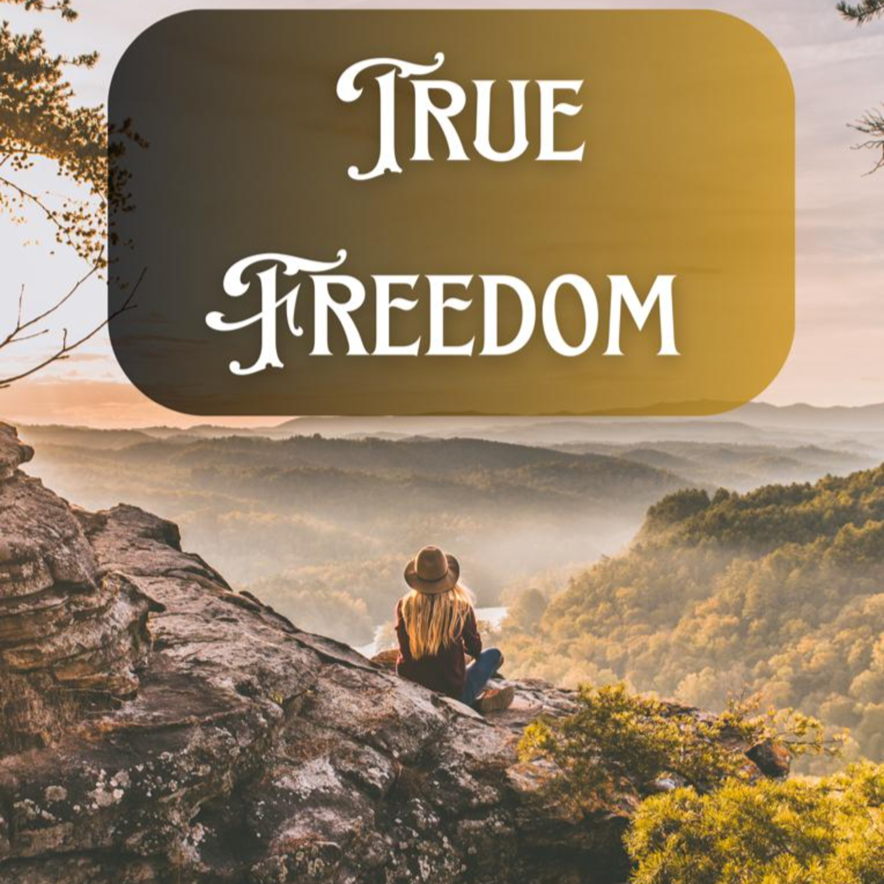 True Freedom  episode artwork