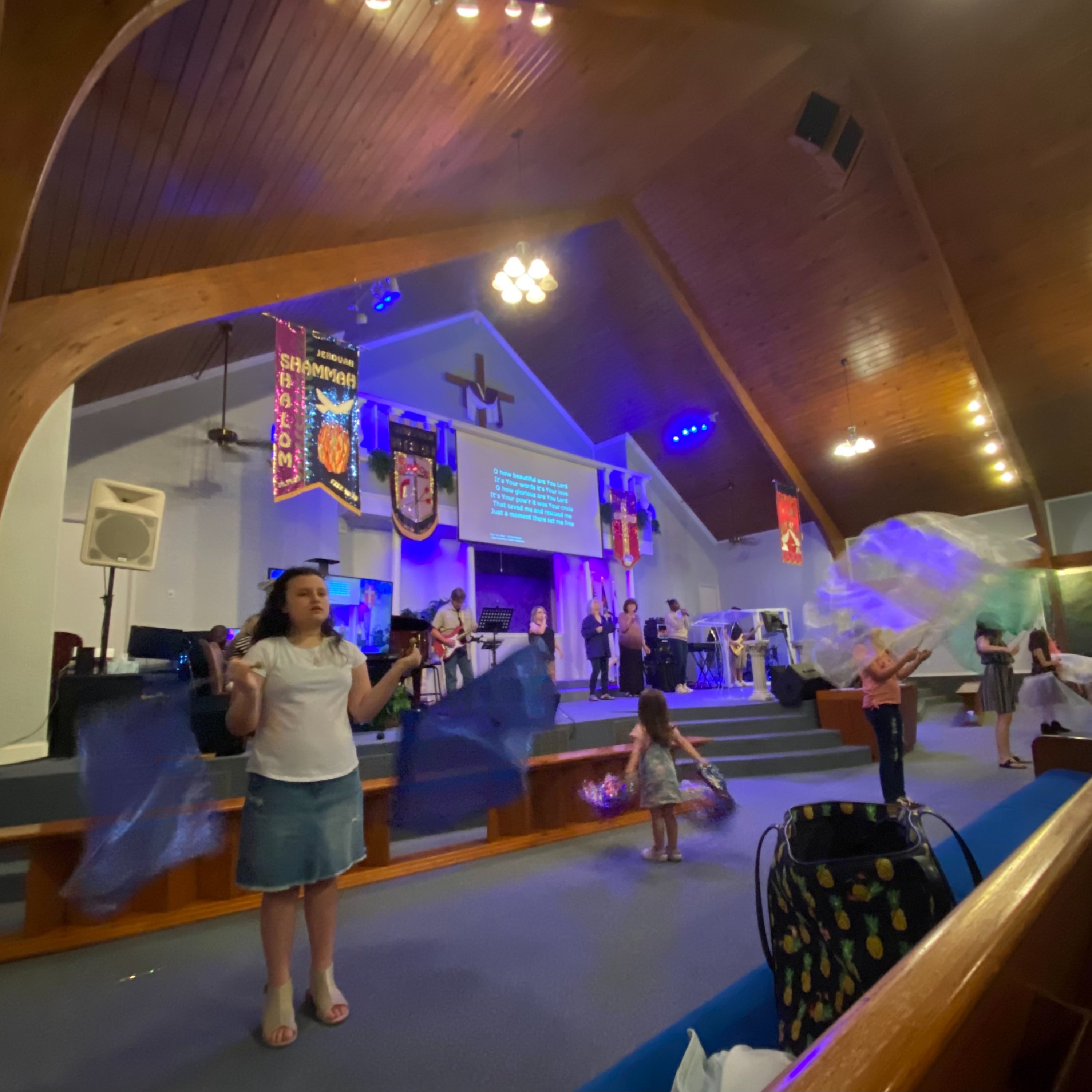 Voice of the Champion Ministries