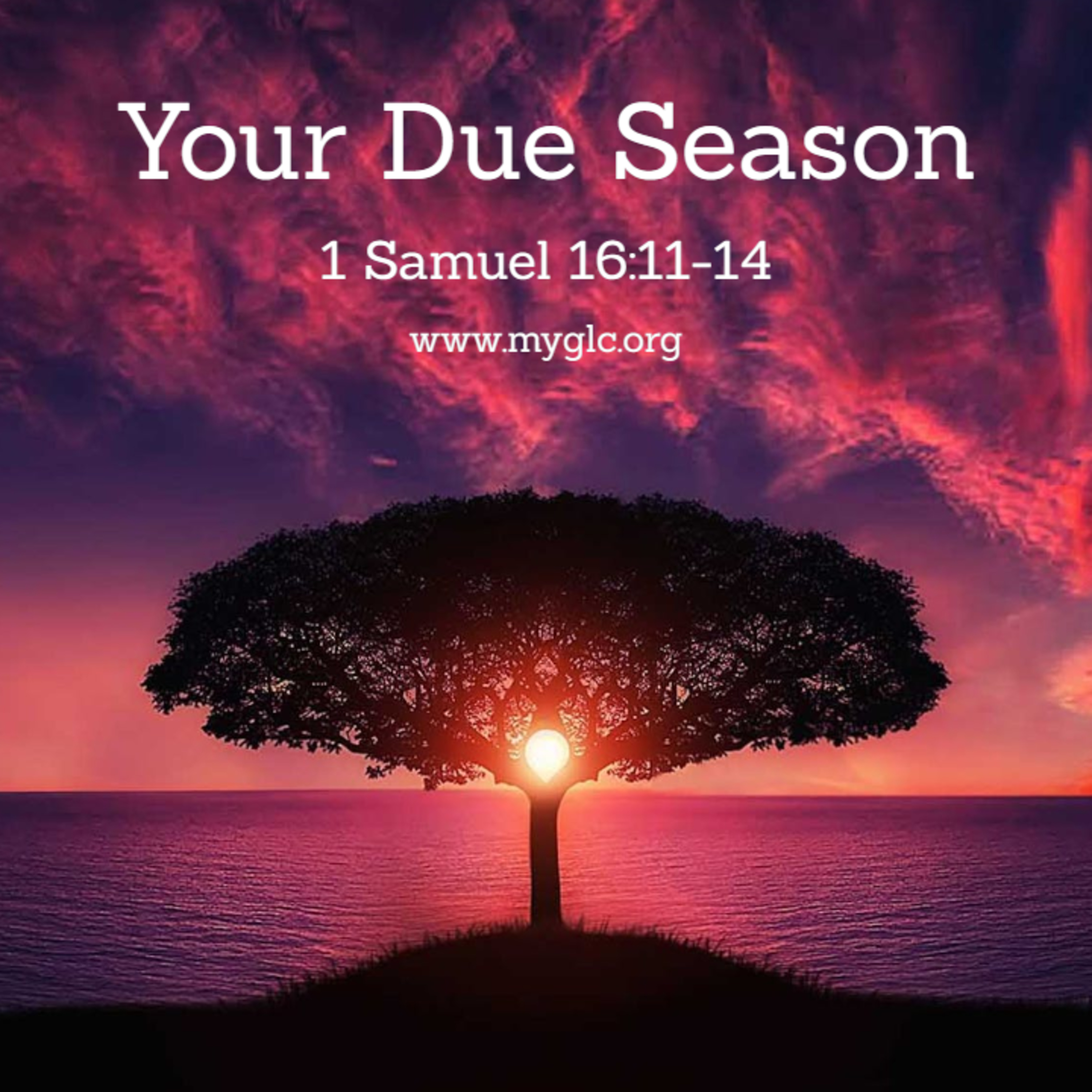Voice of the Champion Ministries