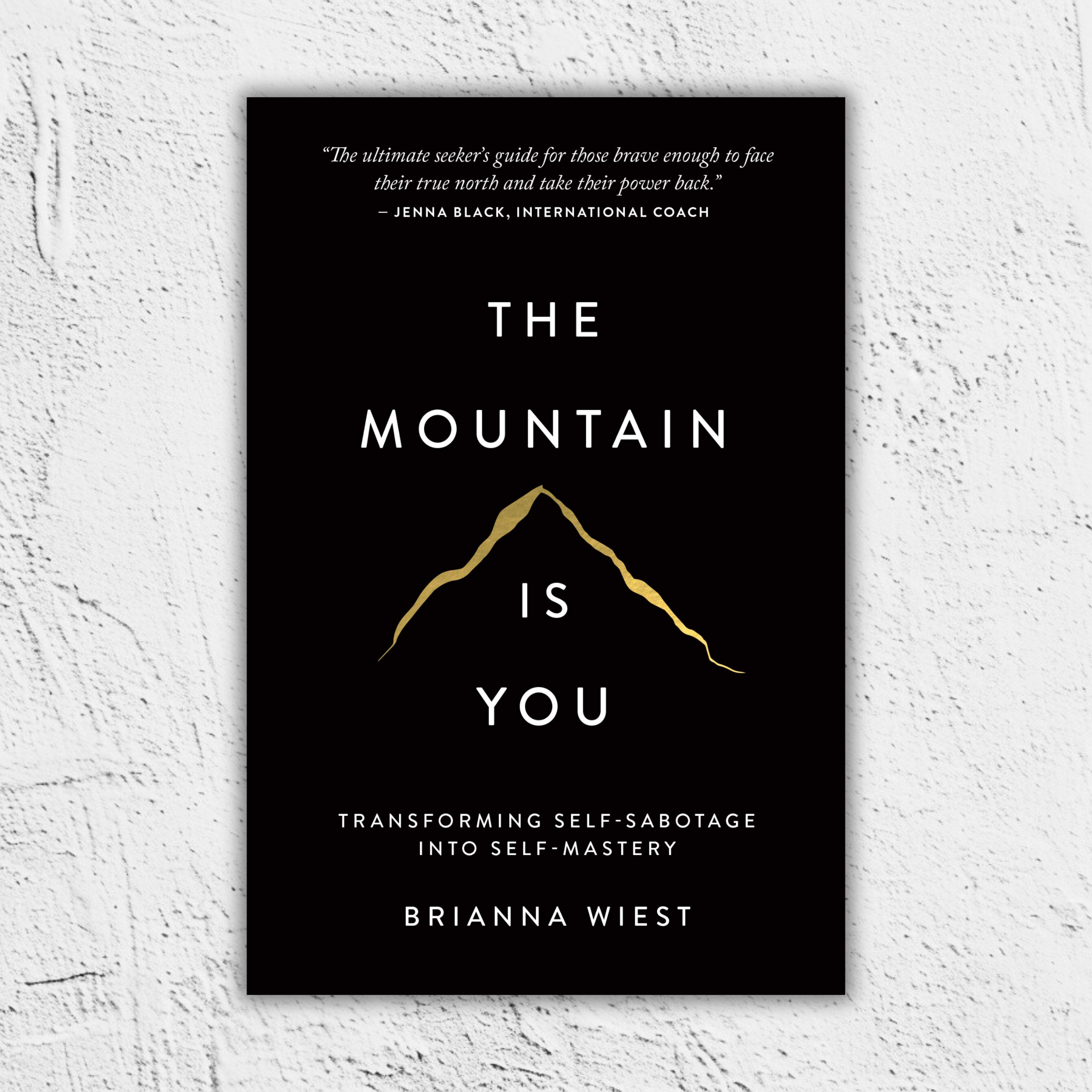 《The Mountain Is You》如何跳出「自我破壞」的思維模式？ episode artwork