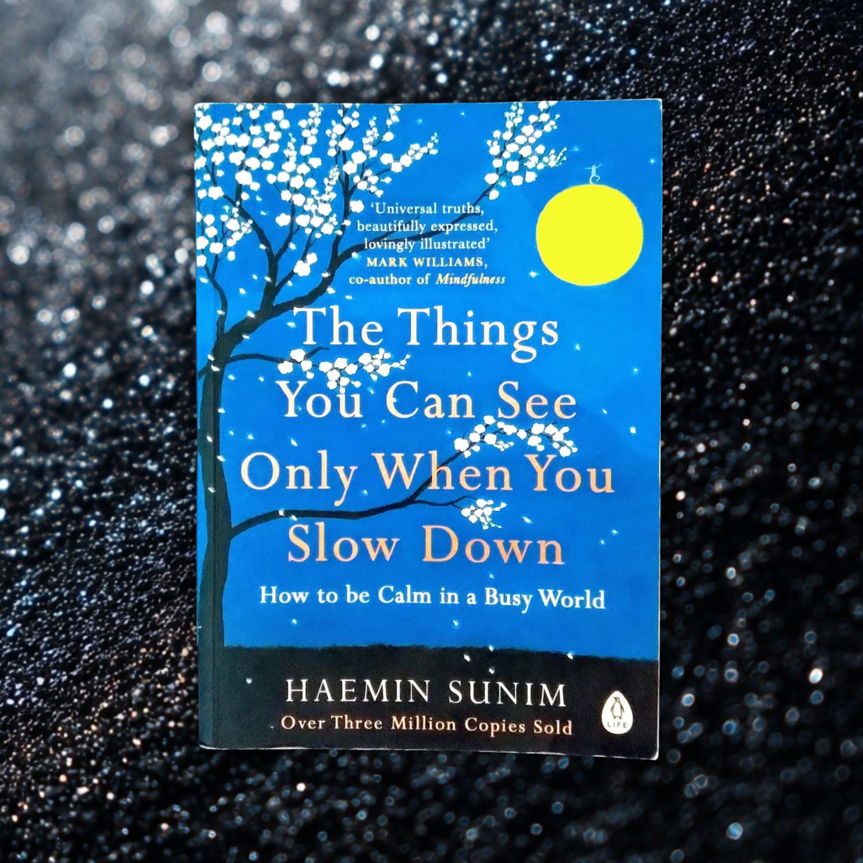 《The Things You Can See Only When You Slow Down》慢下來，才能看見更多 episode artwork