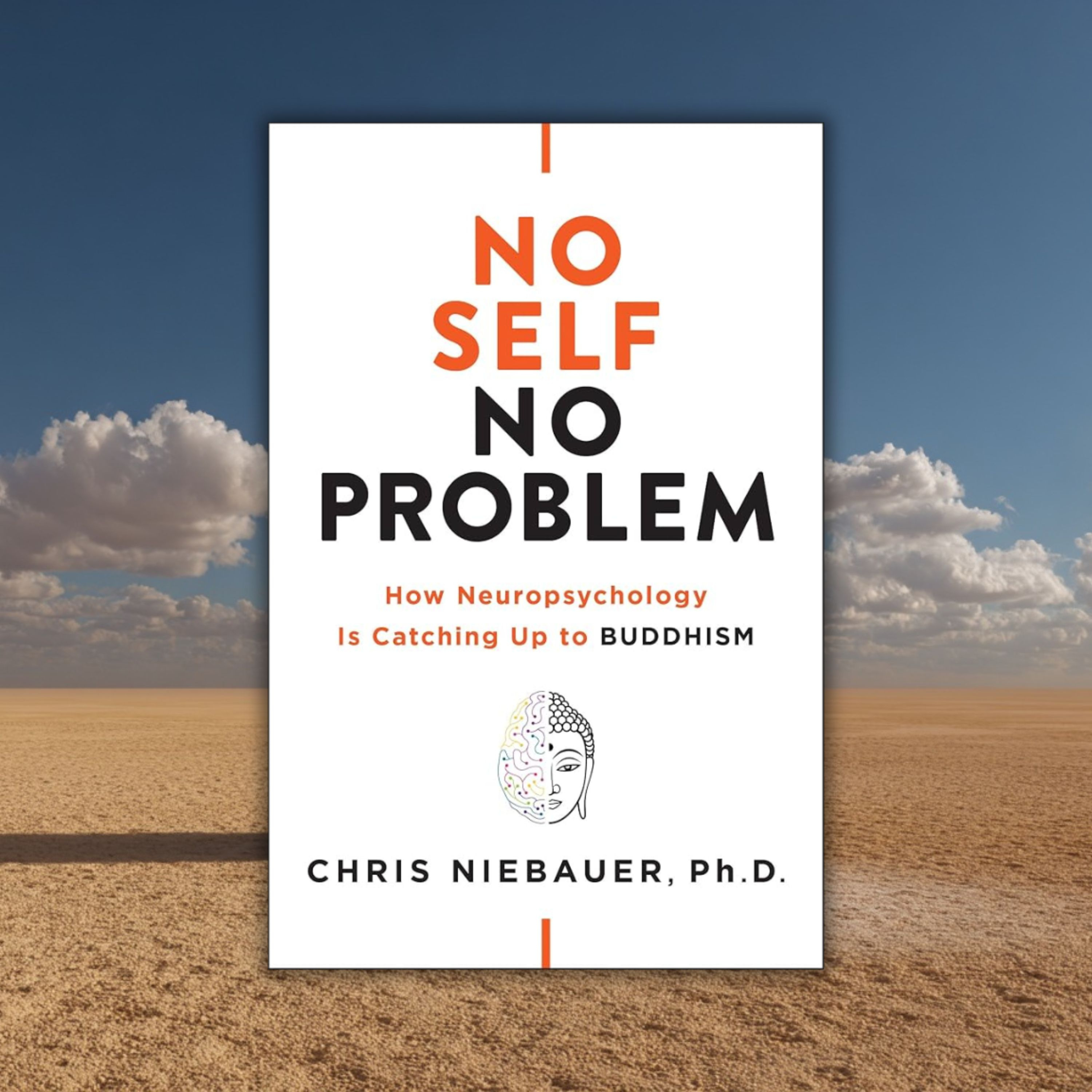 《No Self, No Problem》你以為認識的自己，其實根本不存在？ episode artwork