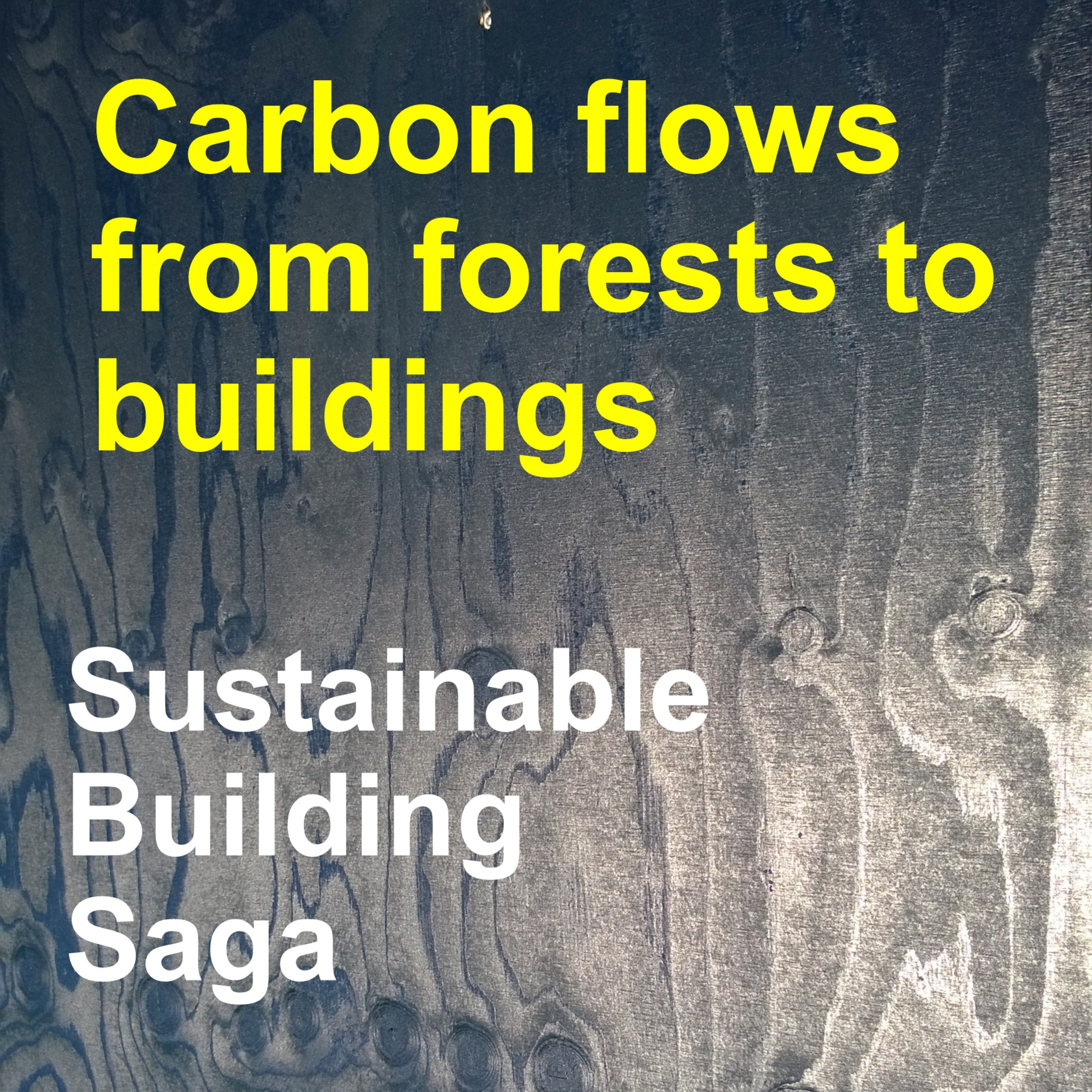 Sustainable Building Saga