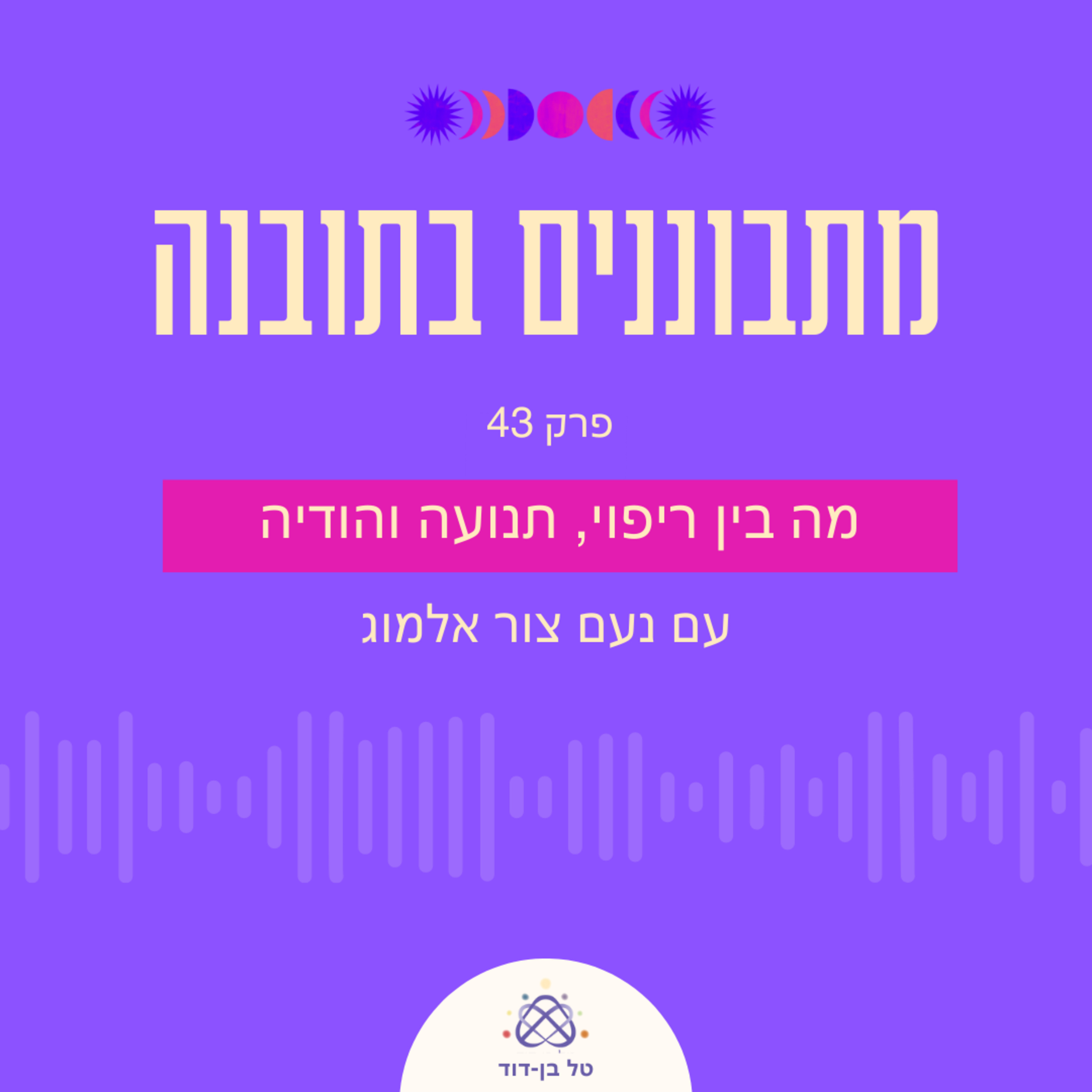 מה בין ריפוי, תנועה והודיה / פרק43 עם נעם צור אלמוג episode artwork