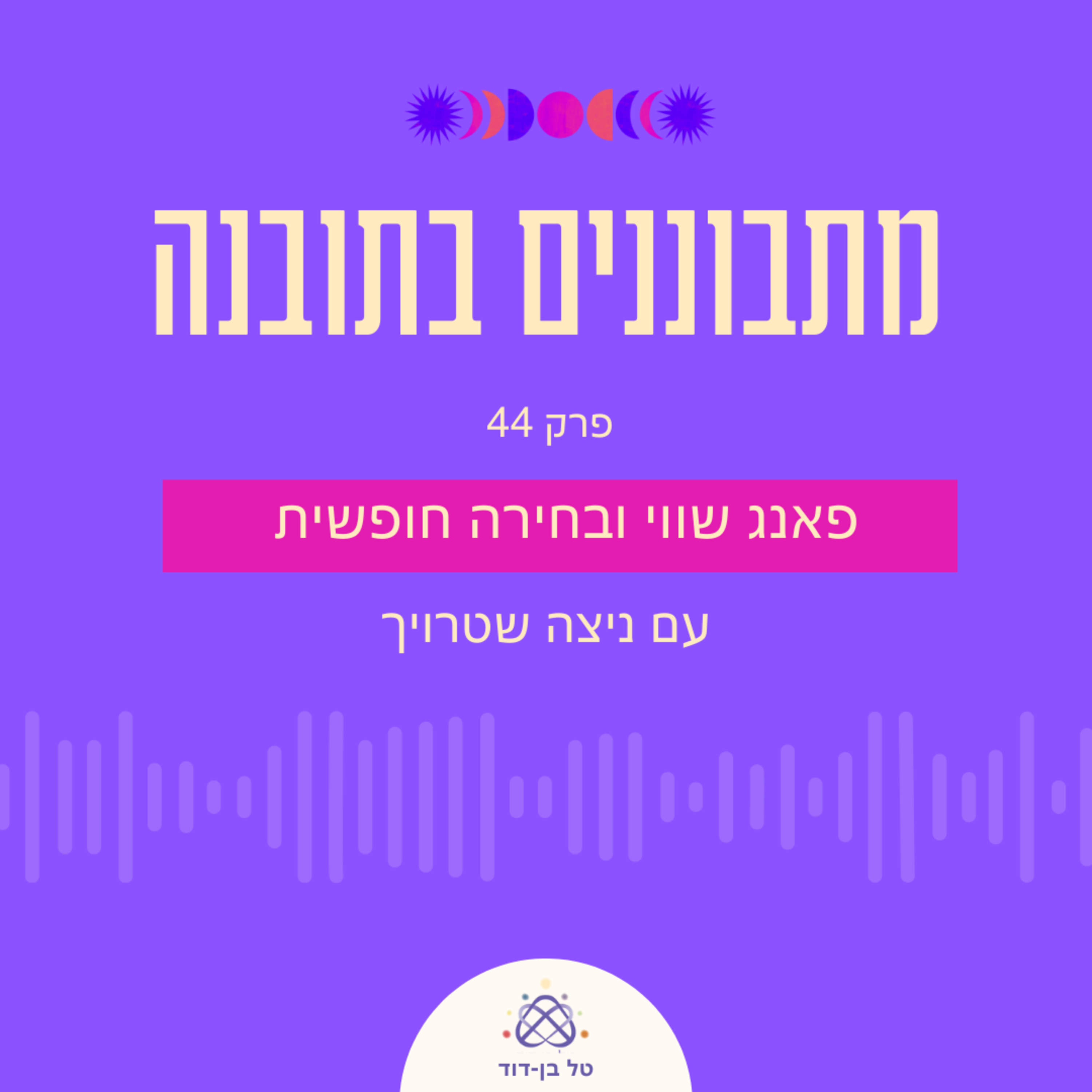 פאנג שווי, אנרגיות, רוחניות ובחירה חופשית / פרק 44 עם ניצה שטרויך episode artwork