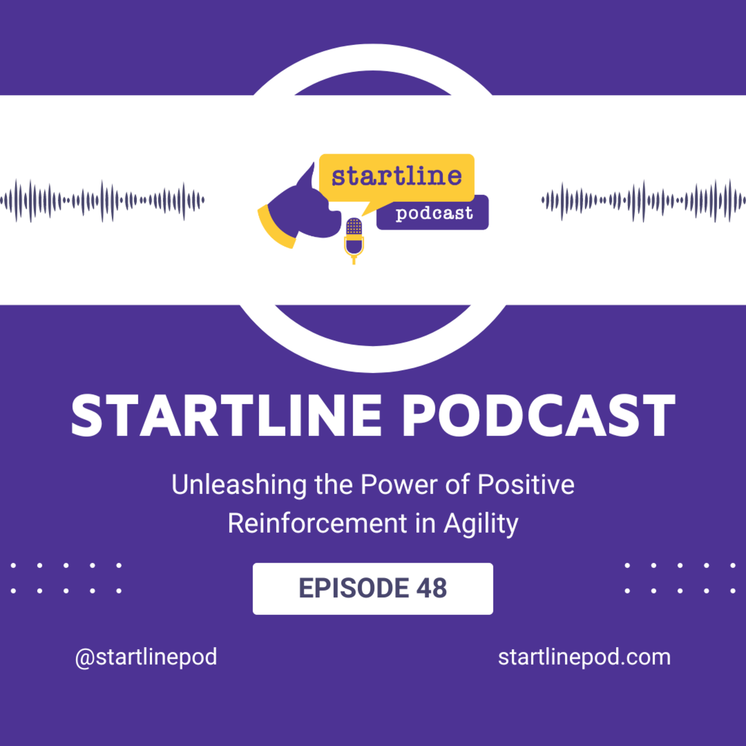 Episode 48 - Unleashing the Power of Positivity in Agility episode artwork