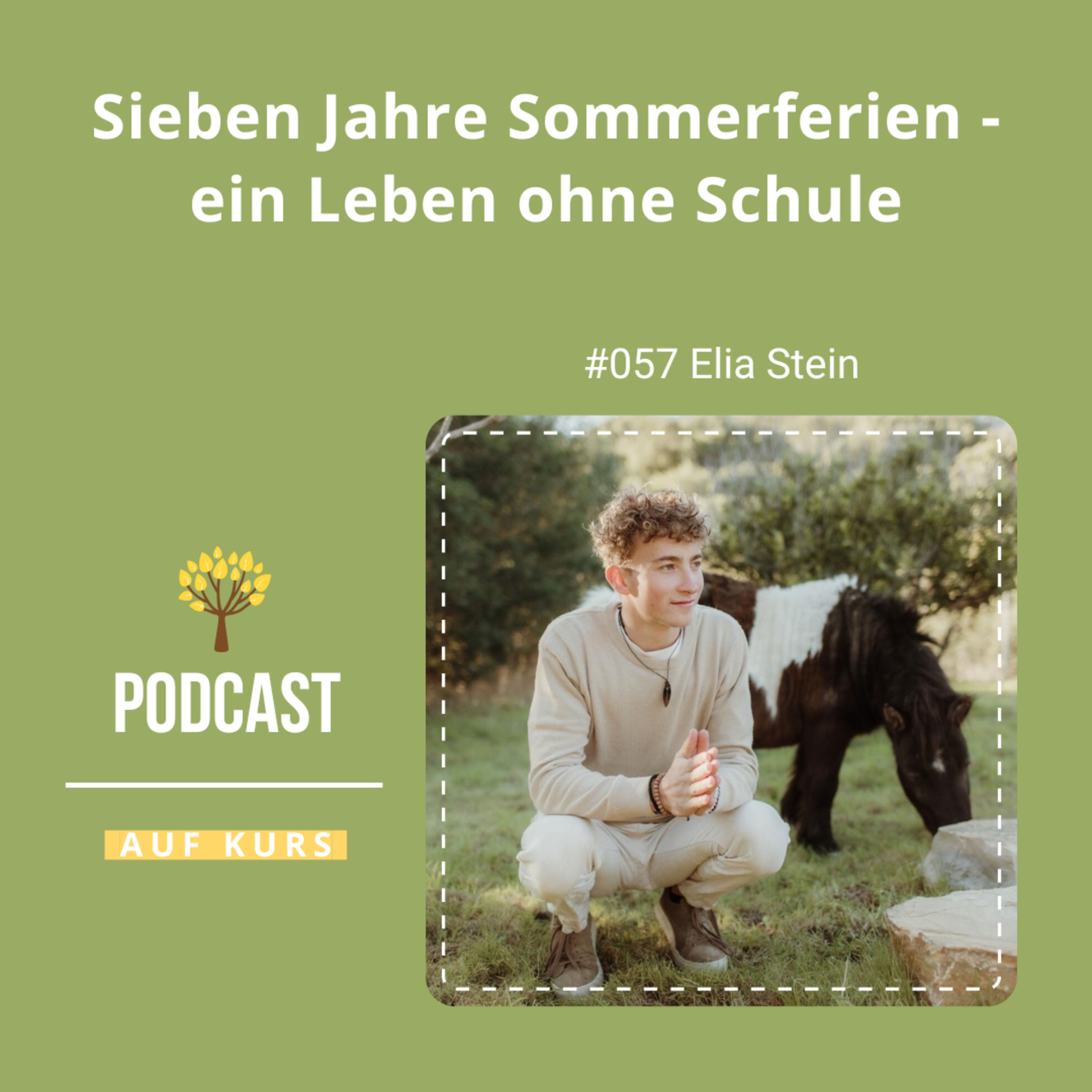 #57 Sieben Jahre Sommerferien - ein Leben ohne Schule (Elia Stein) episode artwork