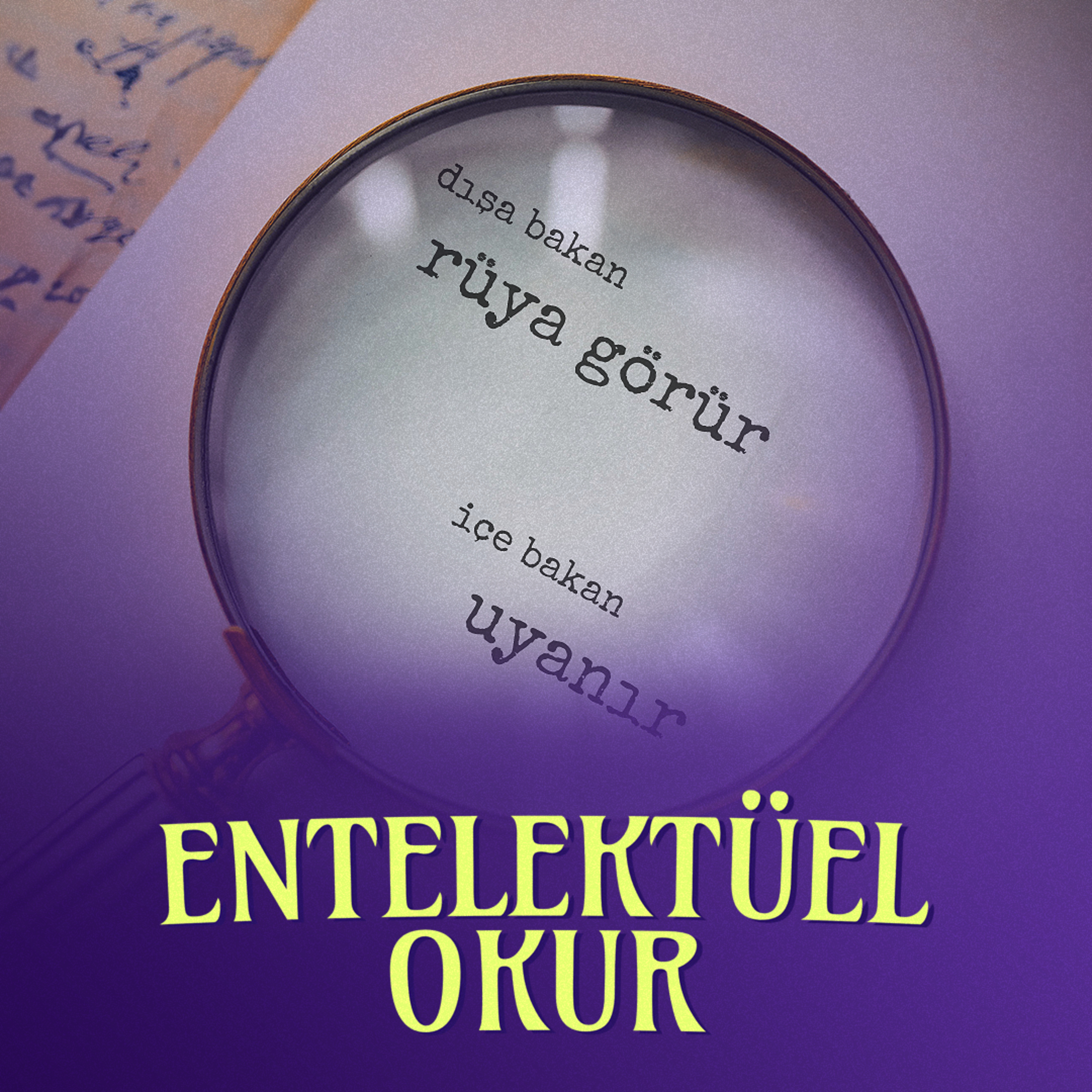 Entelektüel Okur