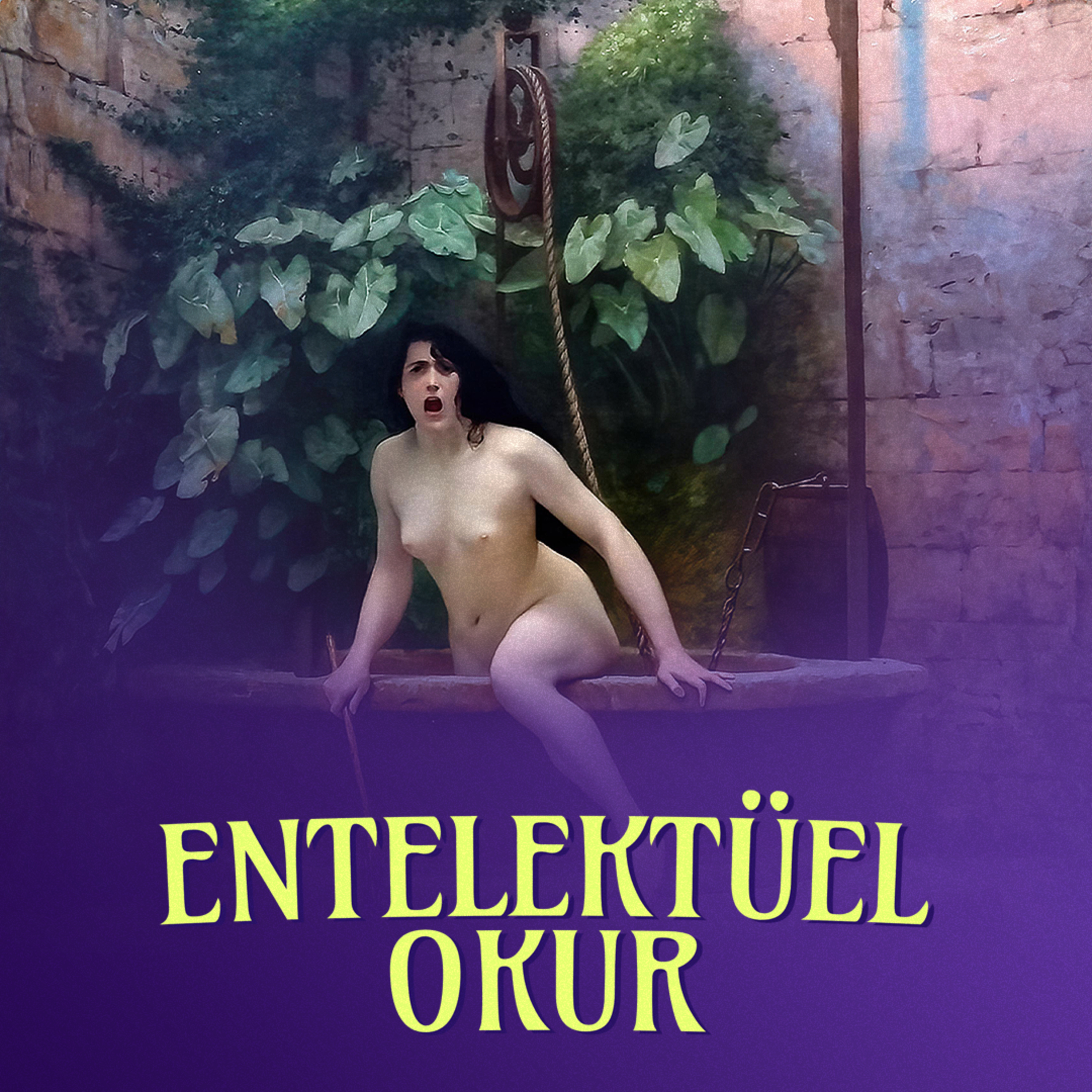 Entelektüel Okur