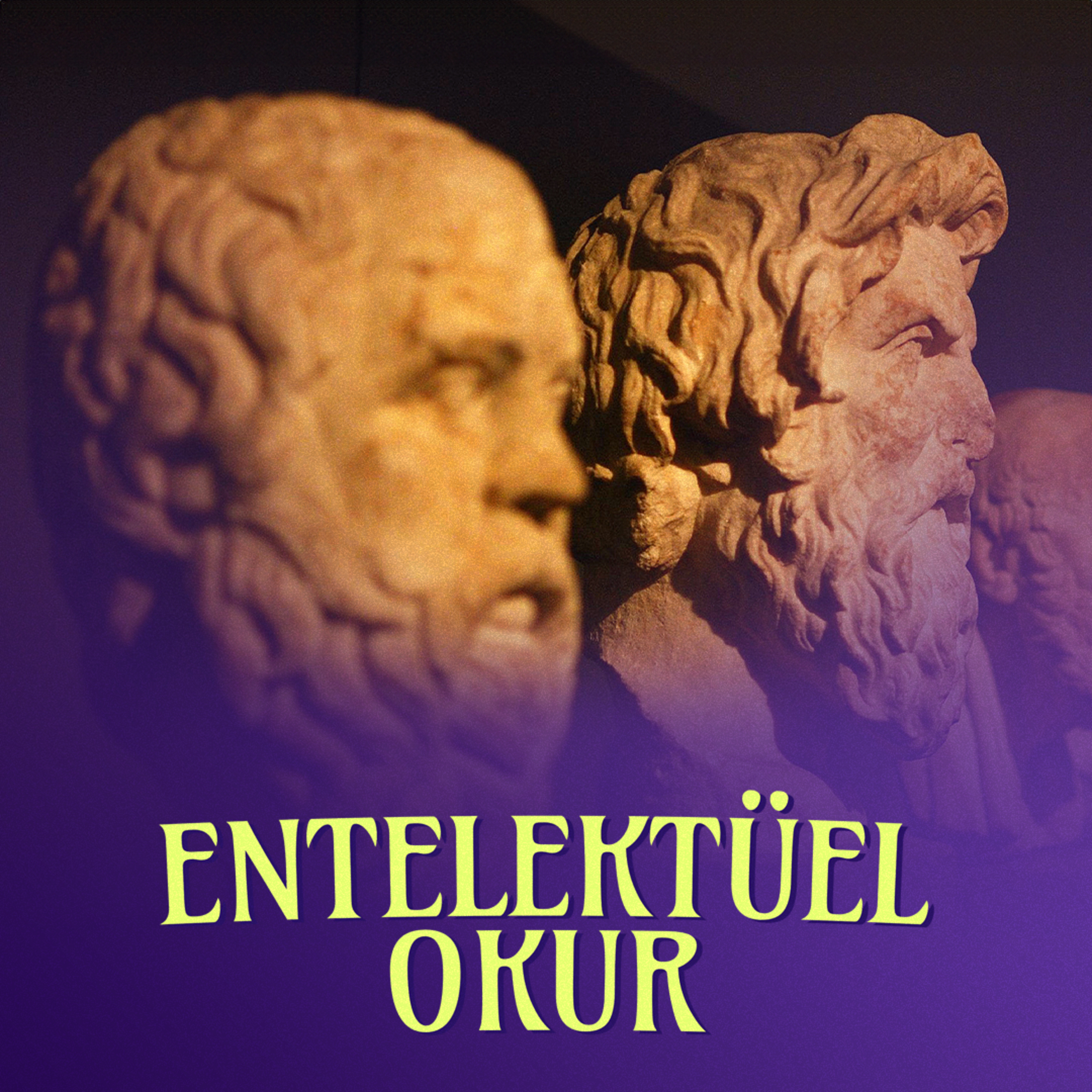 Entelektüel Okur