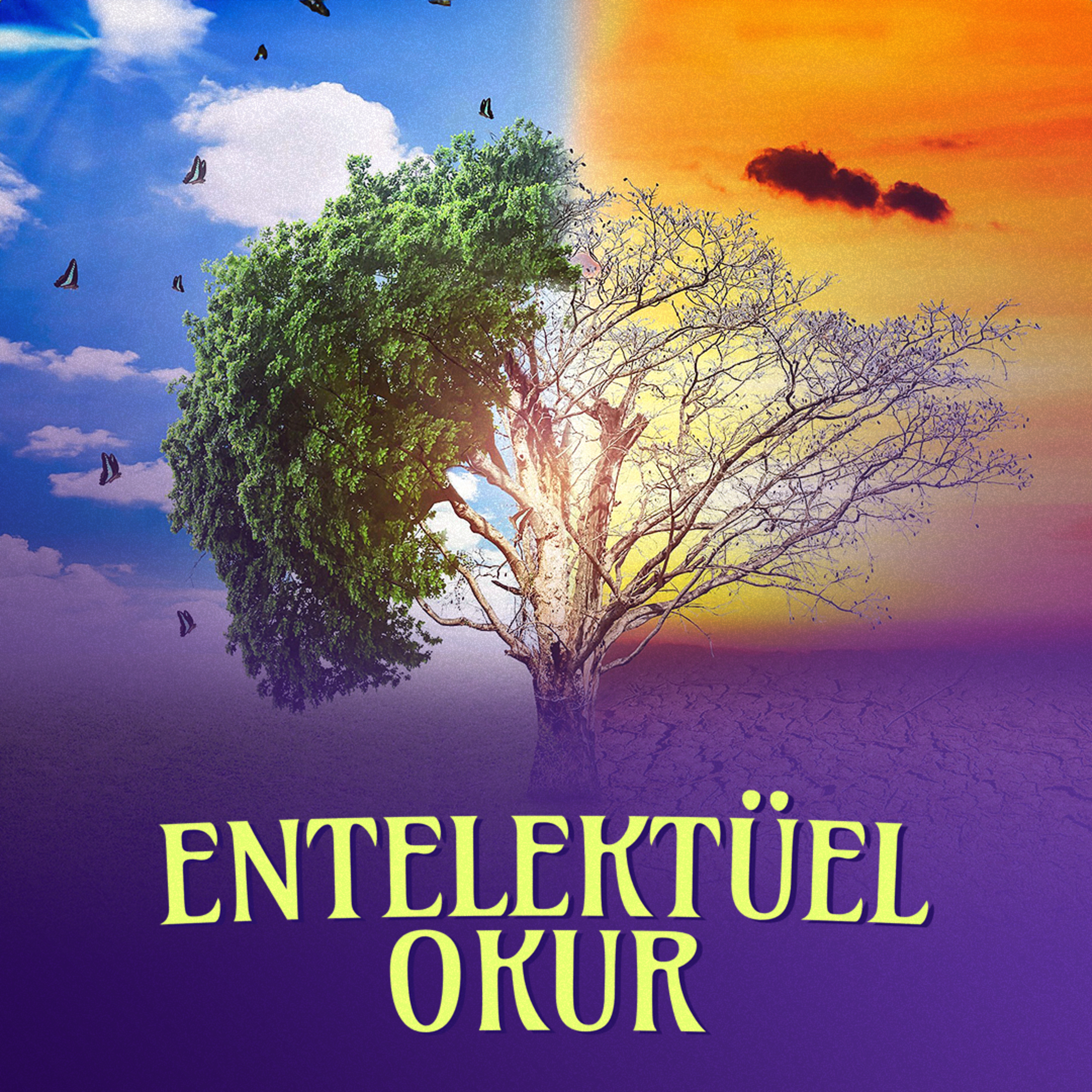 Entelektüel Okur