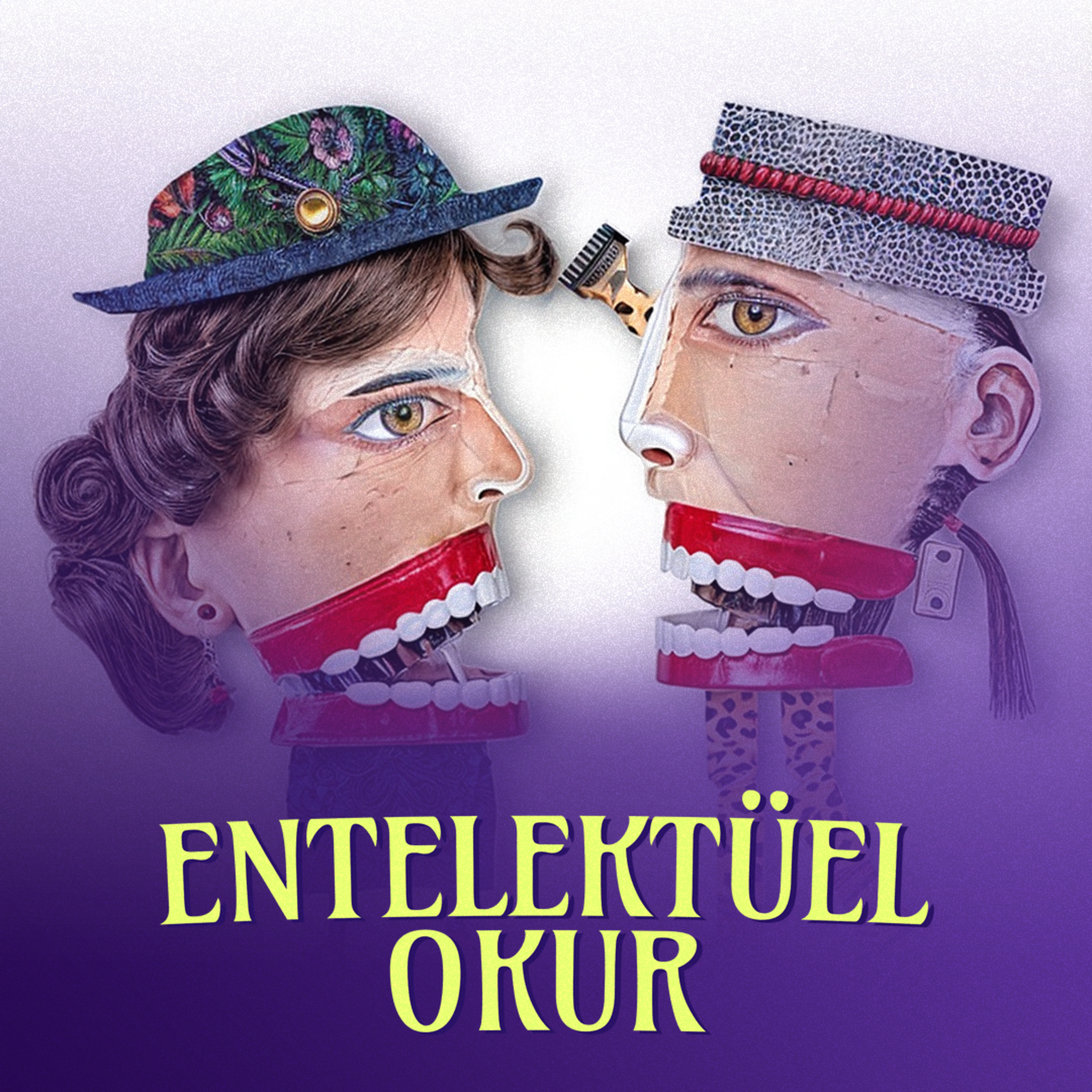 Entelektüel Okur